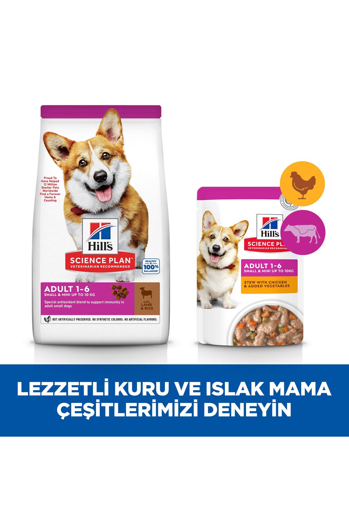 غذای خشک سگ بالغ نژاد کوچک و مینی با بره و برنج هیلز Hill's SCIENCE PLAN، ۶ کیلوگرم