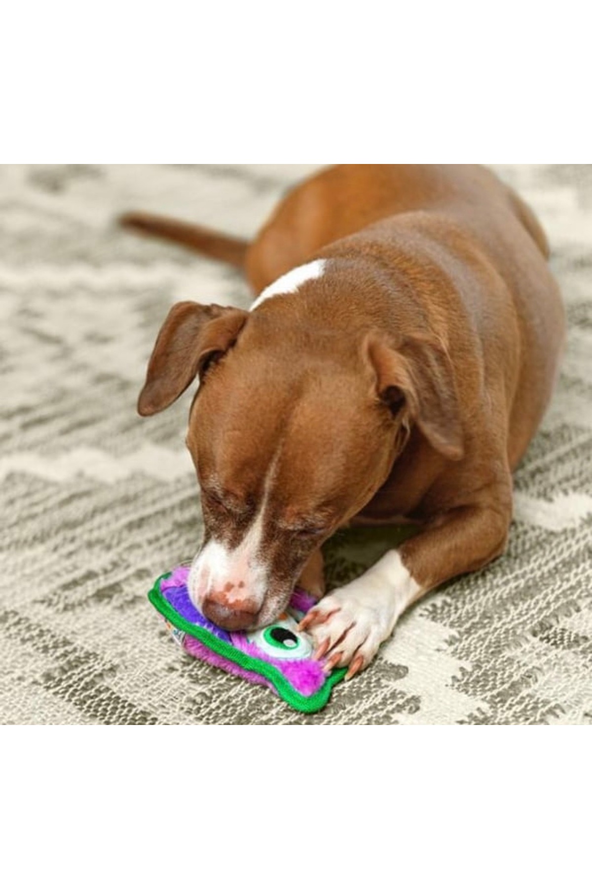 اسباب‌بازی عروسکی سگ طرح جغد آوت‌وارد هاوند Outward Hound