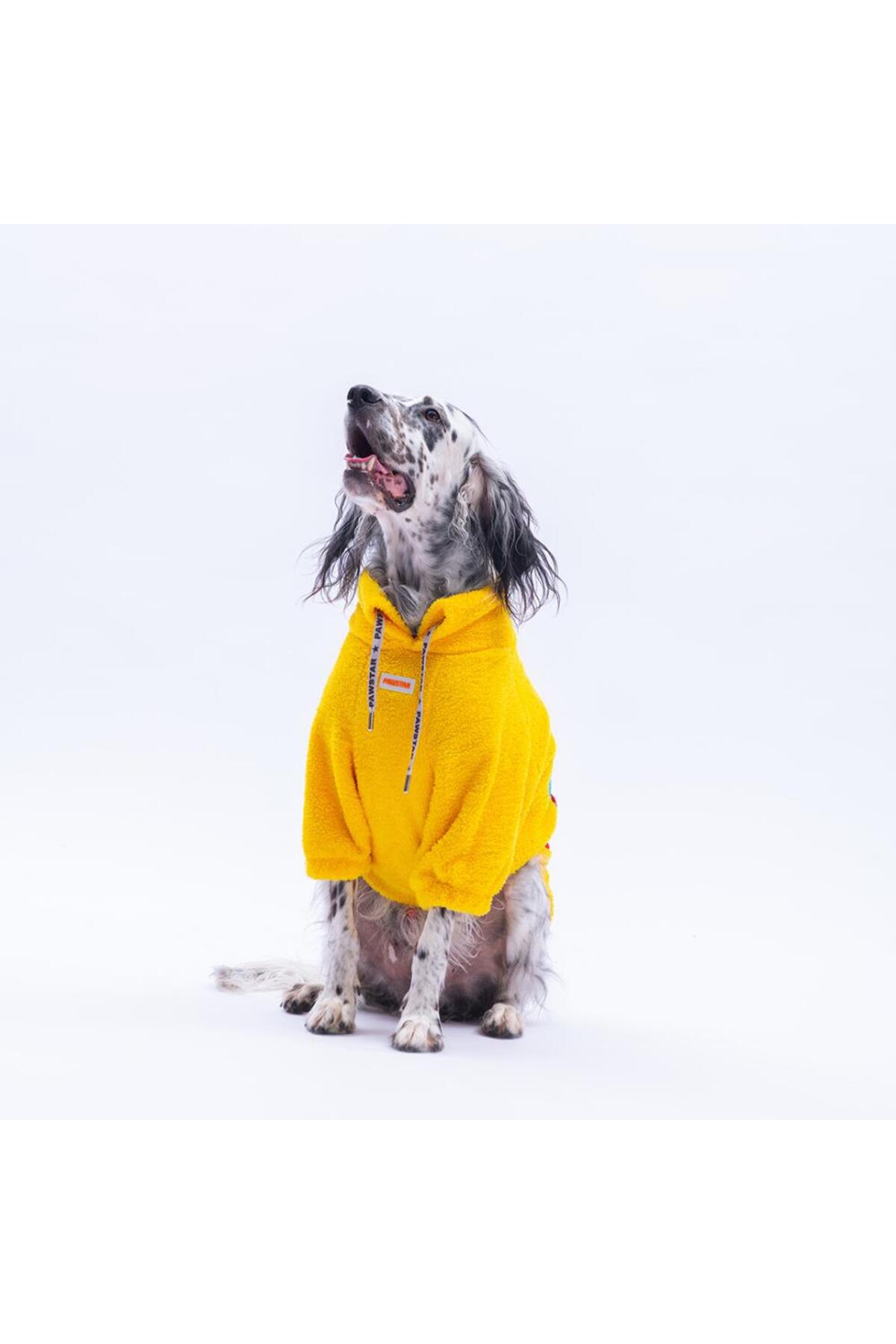 سویشرت سگ پاوستار Pawstar، Porto Cozy Urban Moods، پولیشی و زرد، برای نژادهای متوسط و بزرگ