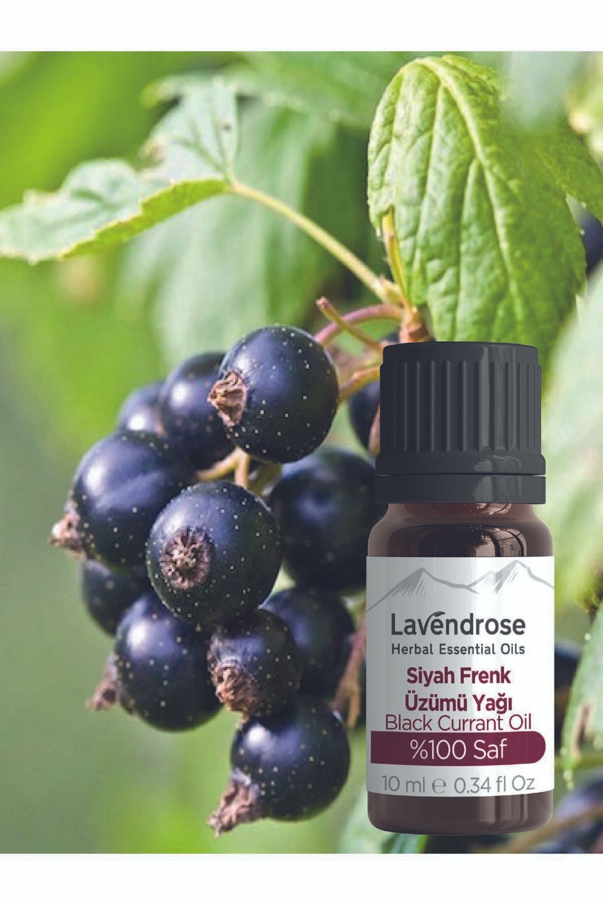 روغن مراقبتی طبیعی سیاه فرنگی 10 میلی لیتر با غلظت بالای امگا 6 Lavendrose