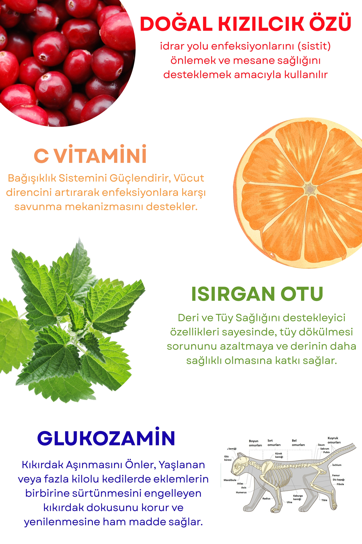 خمیر مالت مولتی‌ویتامین گربه‌های عقیم‌شده پاویکا Pavika، ۱۰۰ گرم