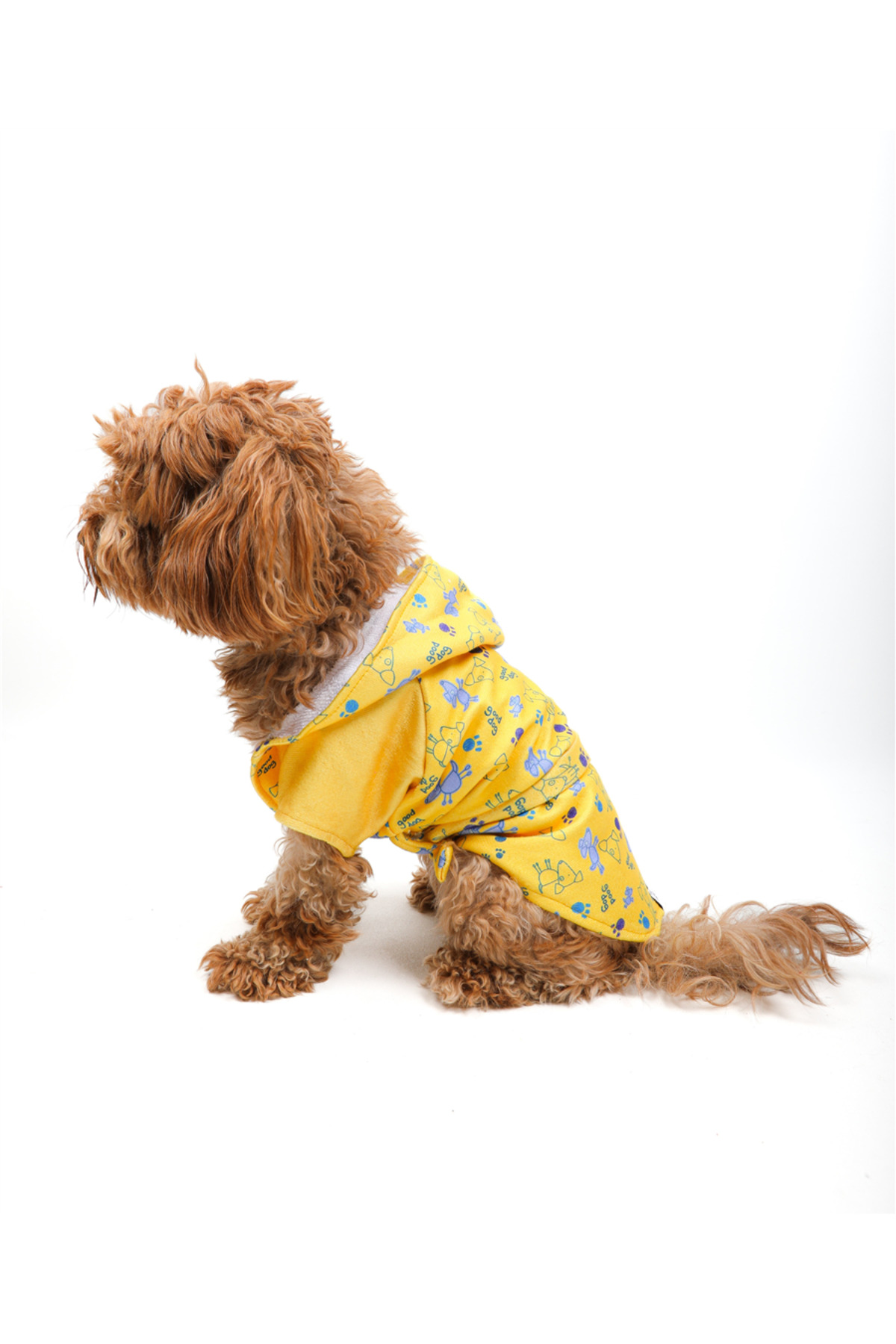 روبدوشامبر سگ زرد تارپاوز TARPAWS Good Dog