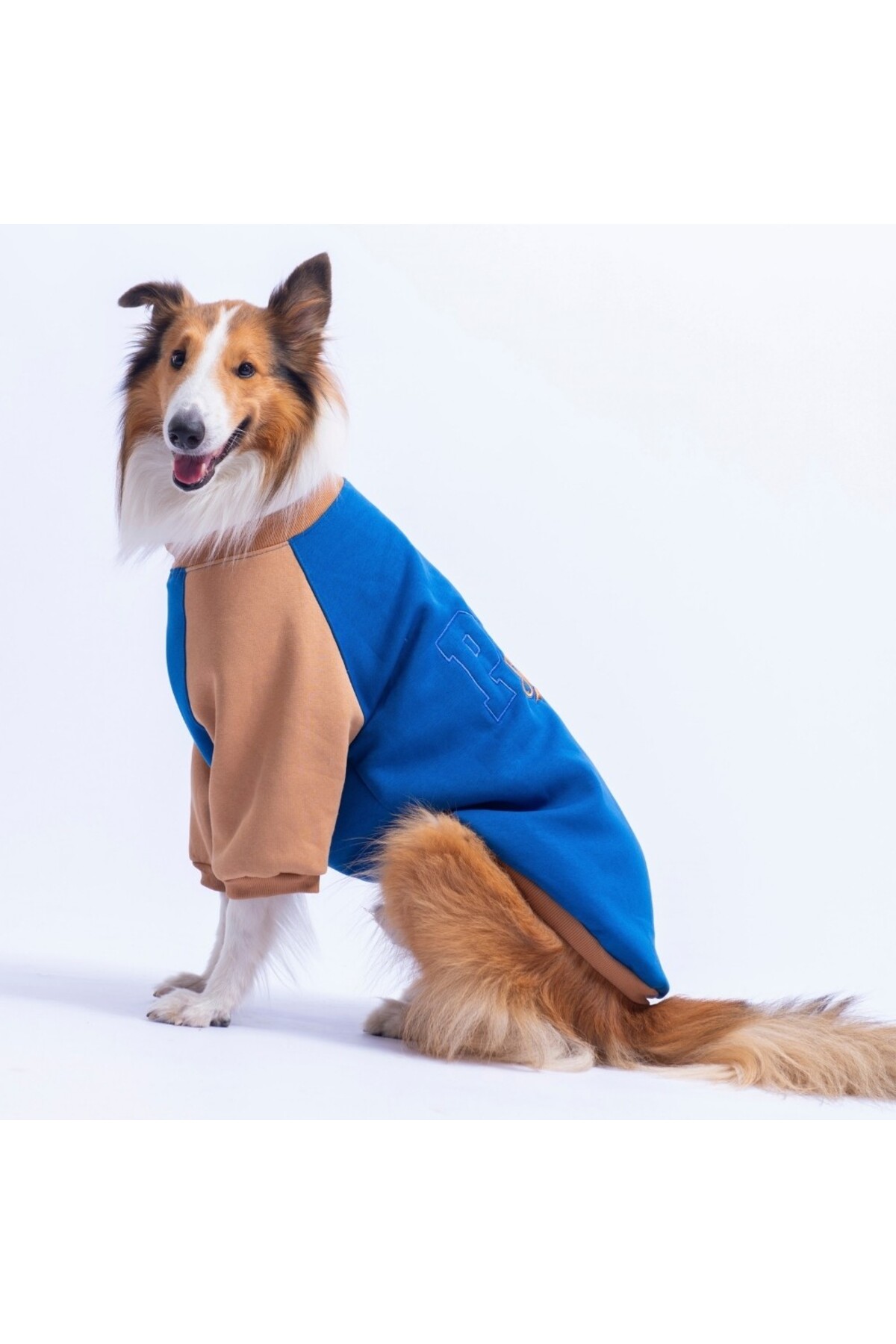سویشرت سگ پاواستار Pawstar Boston مدل PS26_1193، مناسب نژادهای متوسط و بزرگ