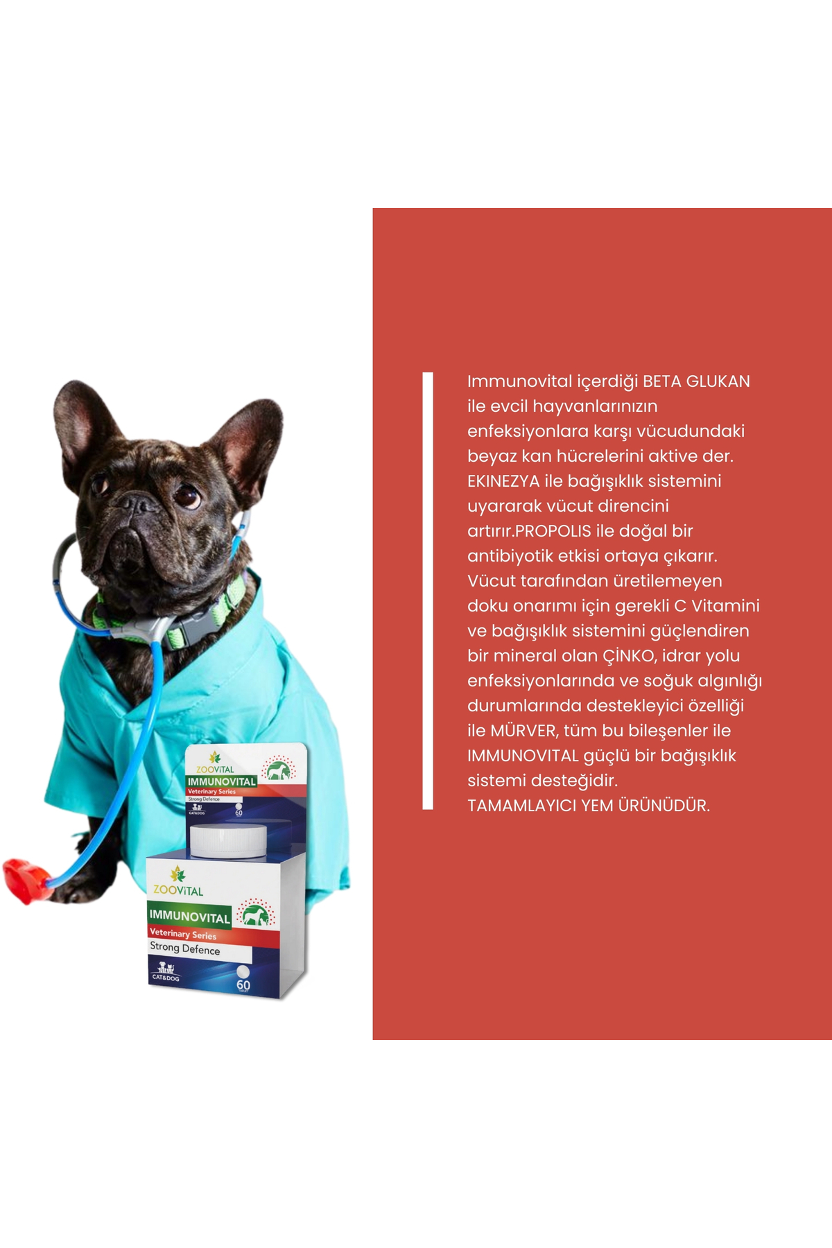 قرص خوش‌طعم گربه زوویتال Zoovital Immunovital، ۶۰ عددی