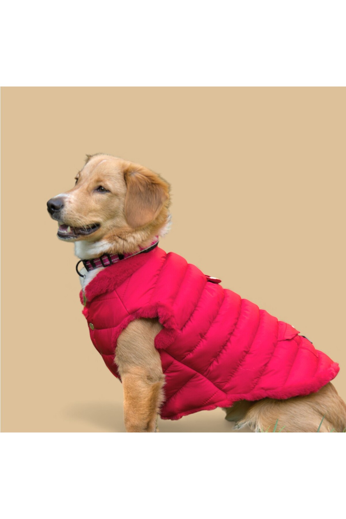 کاپشن پف‌دار سگ لولو د اربن پاپ Lulu The Urban Pup مدل LTUP5000، قرمز