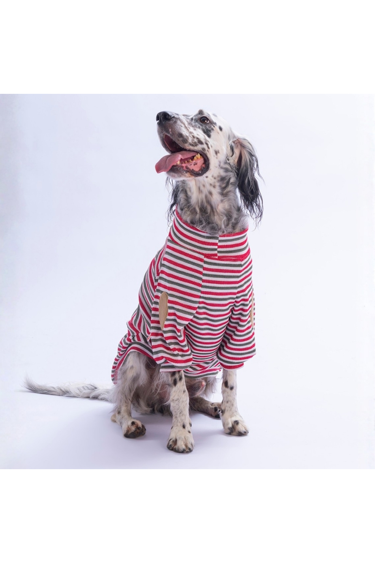 سویشرت سگ و گربه پاواستار Pawstar Marseille Softline قرمز راه‌راه، مدل PS26-1157