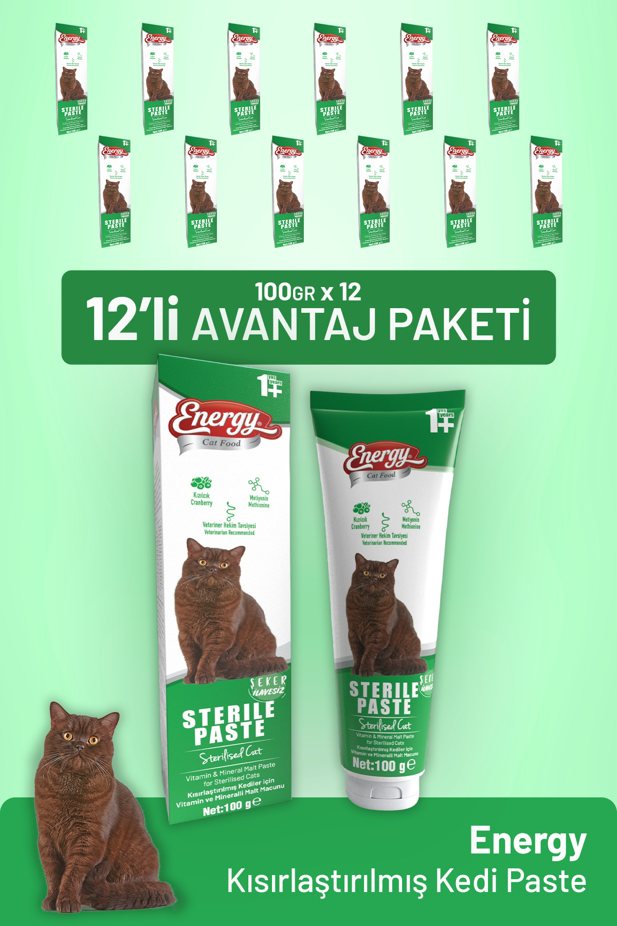 خمیر گربه عقیم‌شده کت فود انرژی Cat Food Energy، بسته ۱۲ عددی ۱۰۰ گرمی
