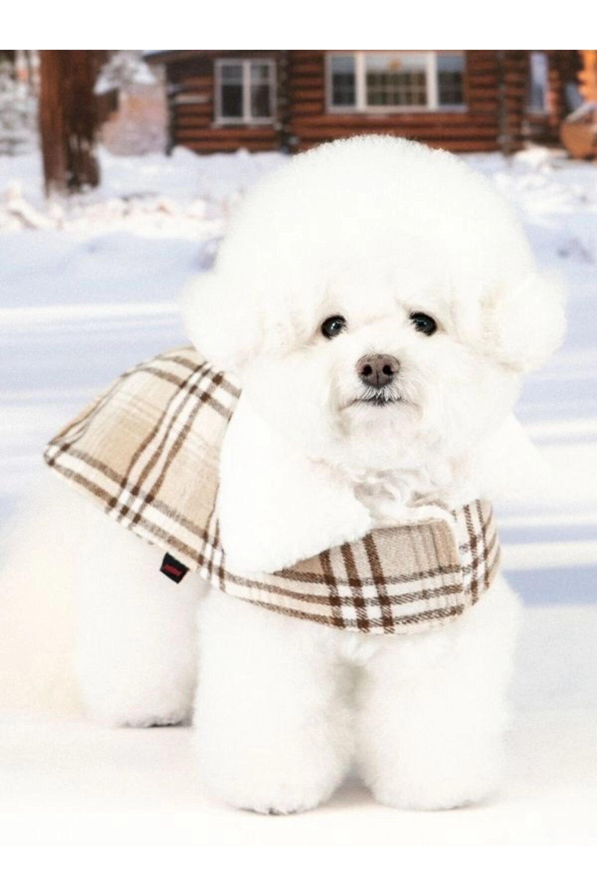 کاپشن سگ پوپیا Puppia Windsor Coat، کد PAZD-CA2259 بژ