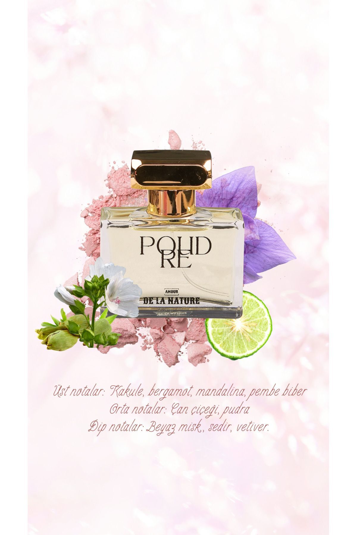 عطر زنانه پودر 50 میلی لیتری با رایحه دلپذیر AMOUR DE LA NATURE
