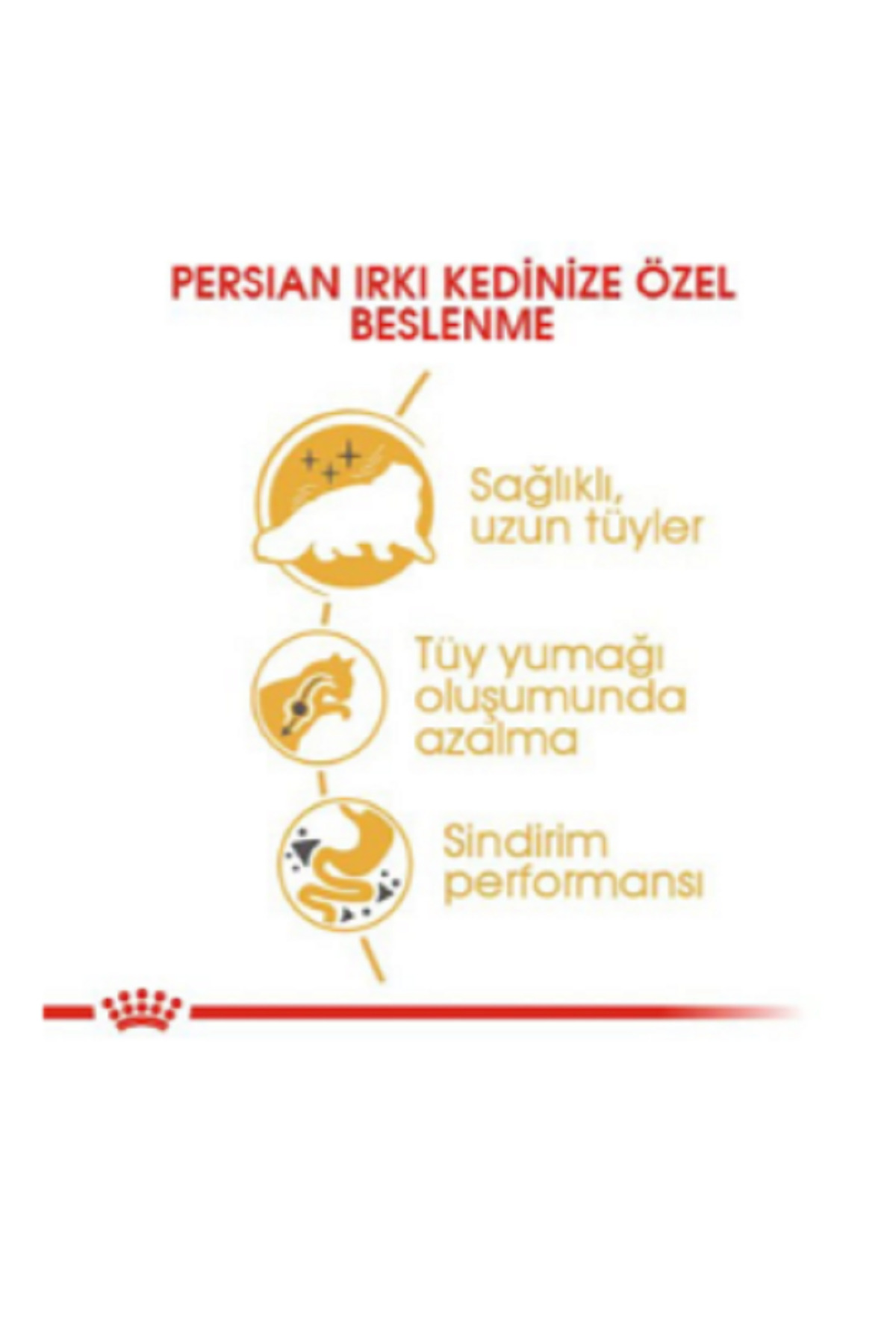 غذای خشک گربه پرشین بالغ رویال کنین Royal Canin، ۴ کیلوگرم