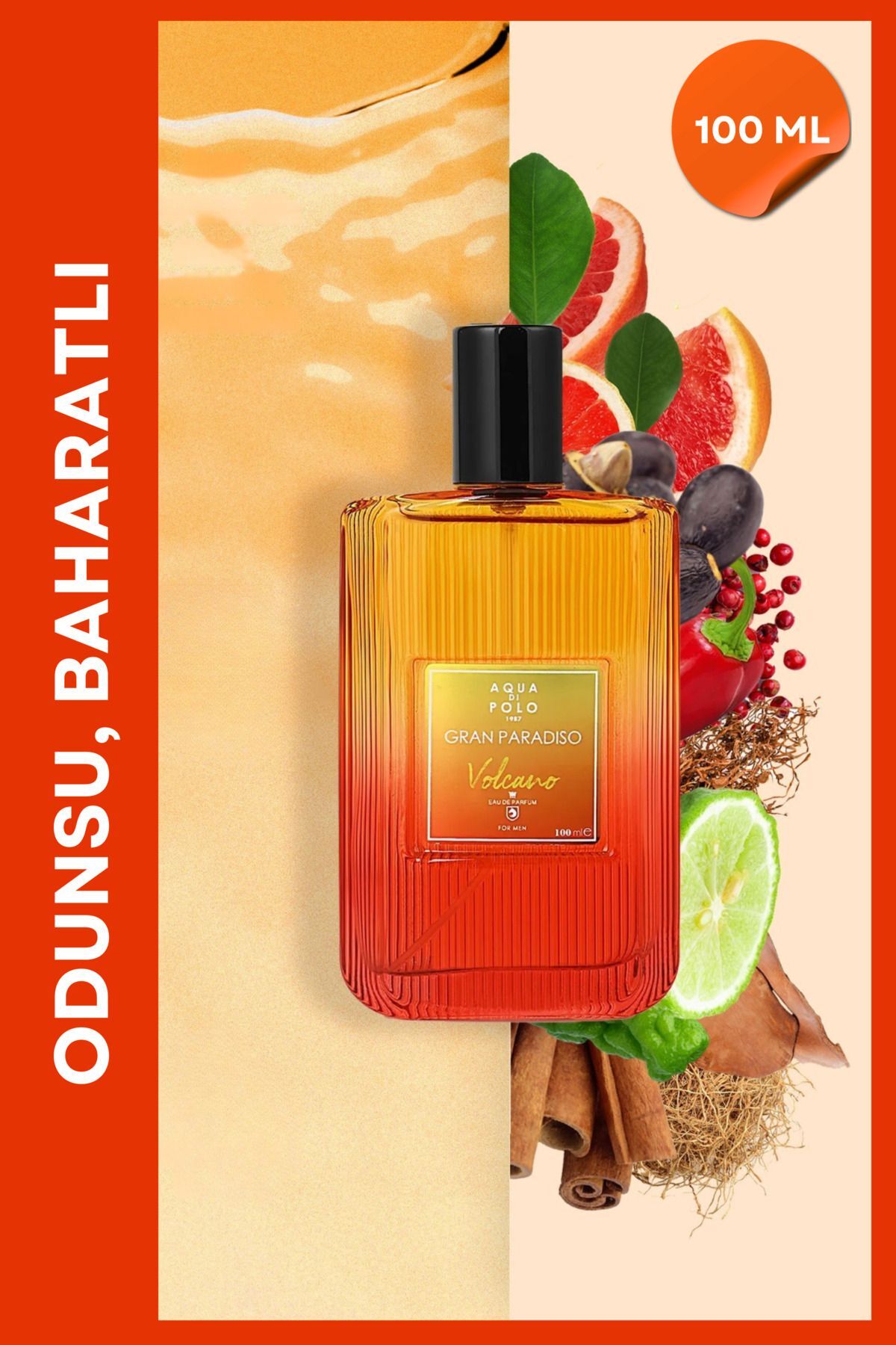 Aqua Di Polo 1987 عطر مردانه ولکانو 100 میلی لیتر APCN001806