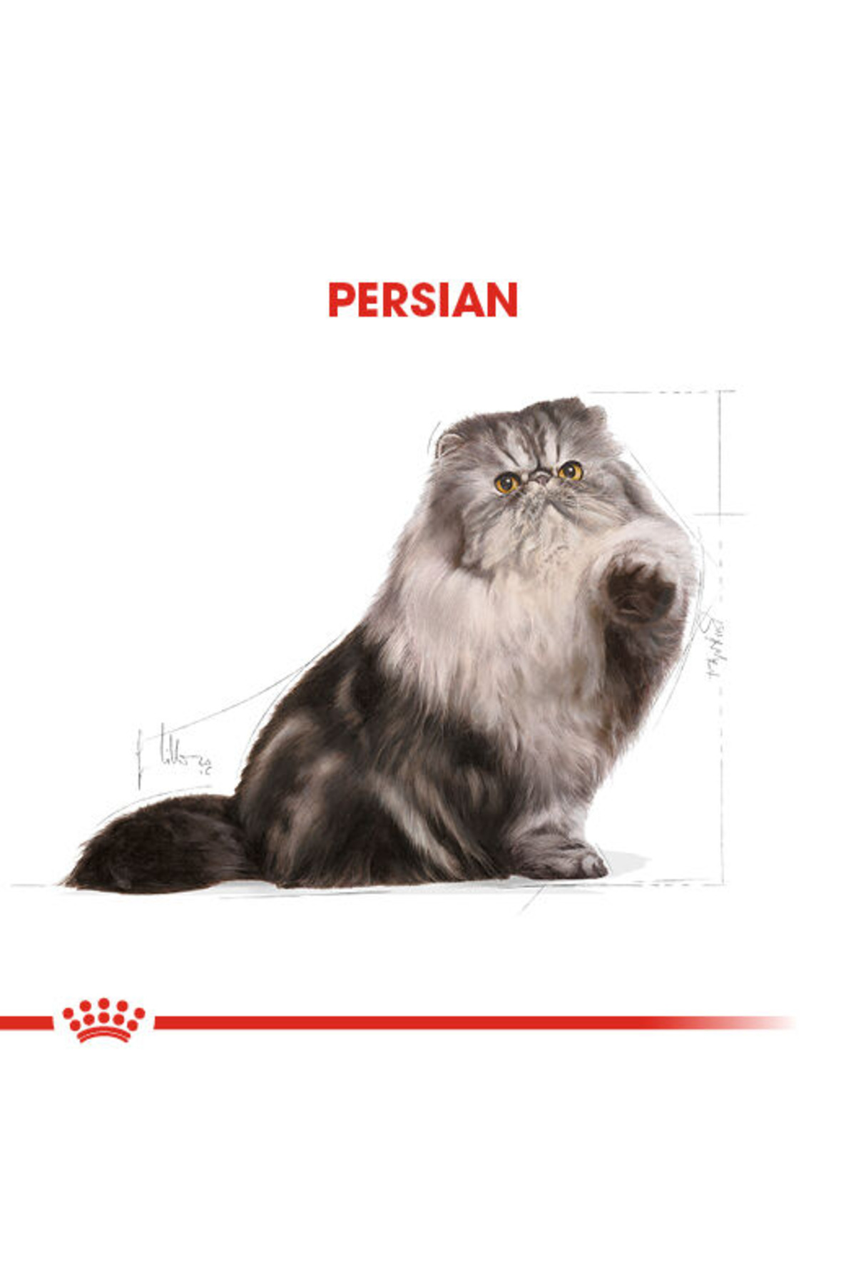 غذای خشک گربه پرشین رویال کنین Royal Canin، ۴۰۰ گرم