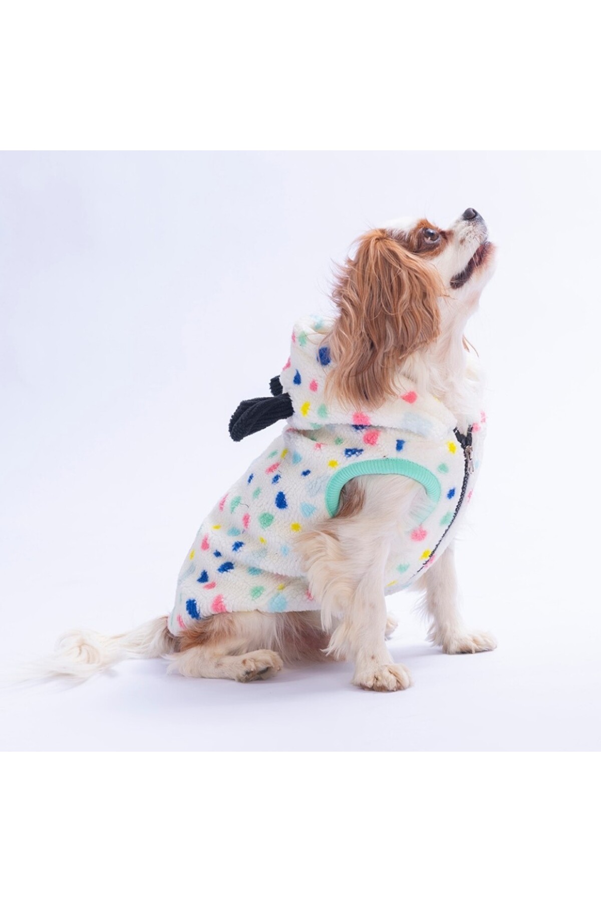 جلیقه پولیشی سگ و گربه پاوستار Pawstar Candy Tahoe مدل PS26-1184 با گوش‌های پولیشی چندرنگ