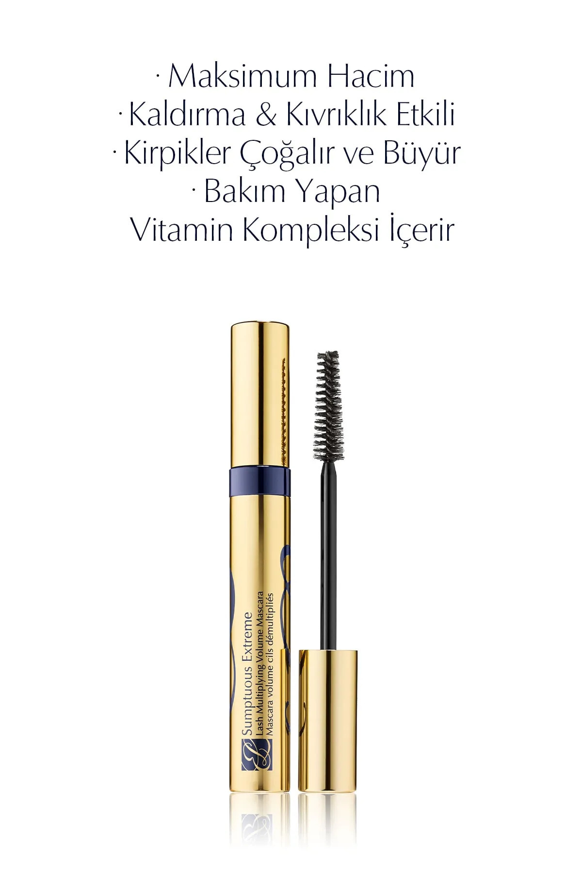 استی لادر (Estée Lauder)