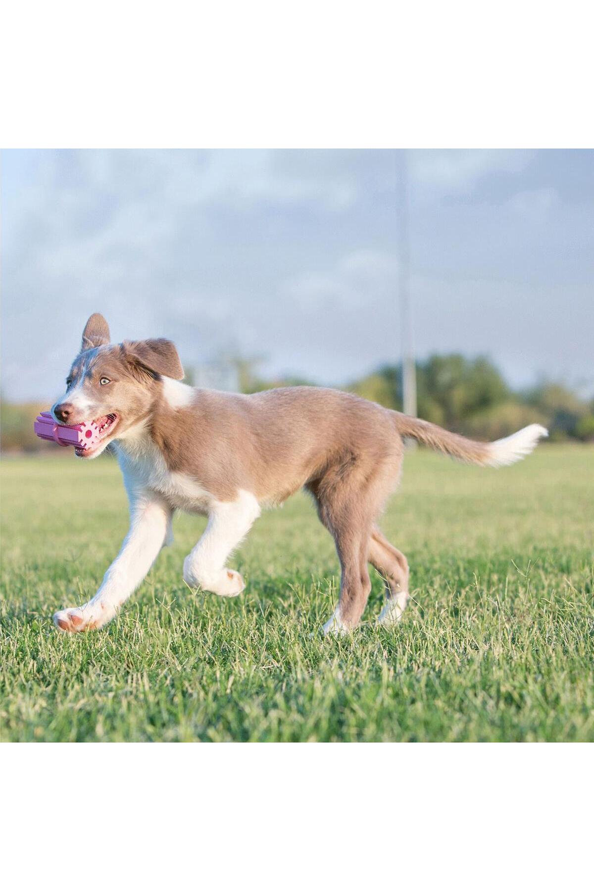 اسباب‌بازی دندان‌گیر توله‌سگ کنگ Kong Puppy Teething Stick، صورتی، سایز S