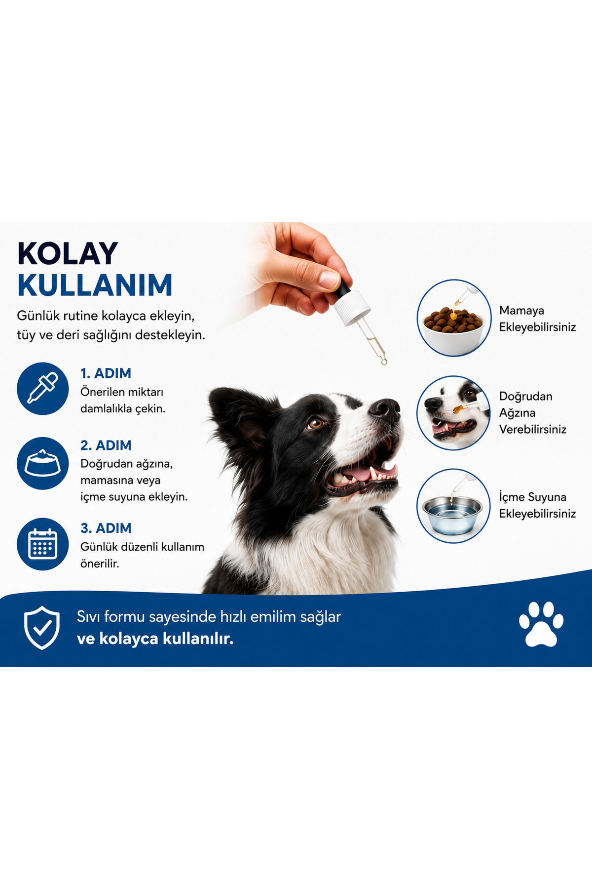 قطره بیوتین و زینک سگ پاوماس Pawmas Plus-B، ۵۰ میلی‌لیتر
