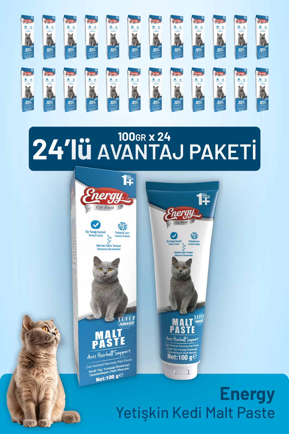 خمیر مالت گربه بالغ کت فود انرژی Cat Food Energy، ۱۰۰ گرم، بسته ۲۴ عددی