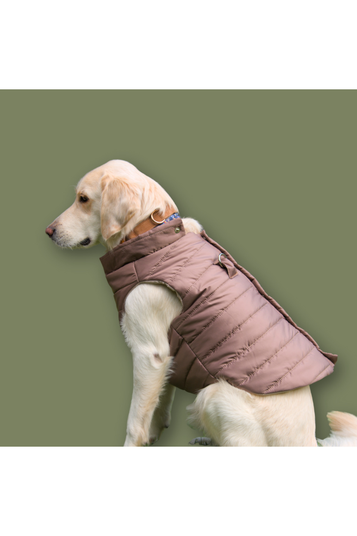 کاپشن پافر سبک سگ لولو دِ اربن پاپ Lulu The Urban Pup، بژ عسلی