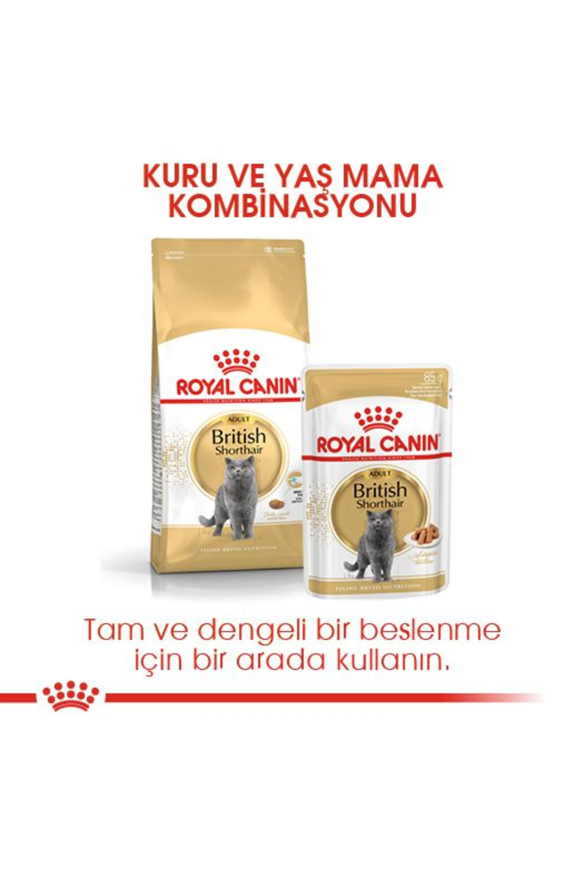غذای خشک گربه بالغ بریتیش شورت‌هیر رویال کنین Royal Canin، ۴۰۰ گرم