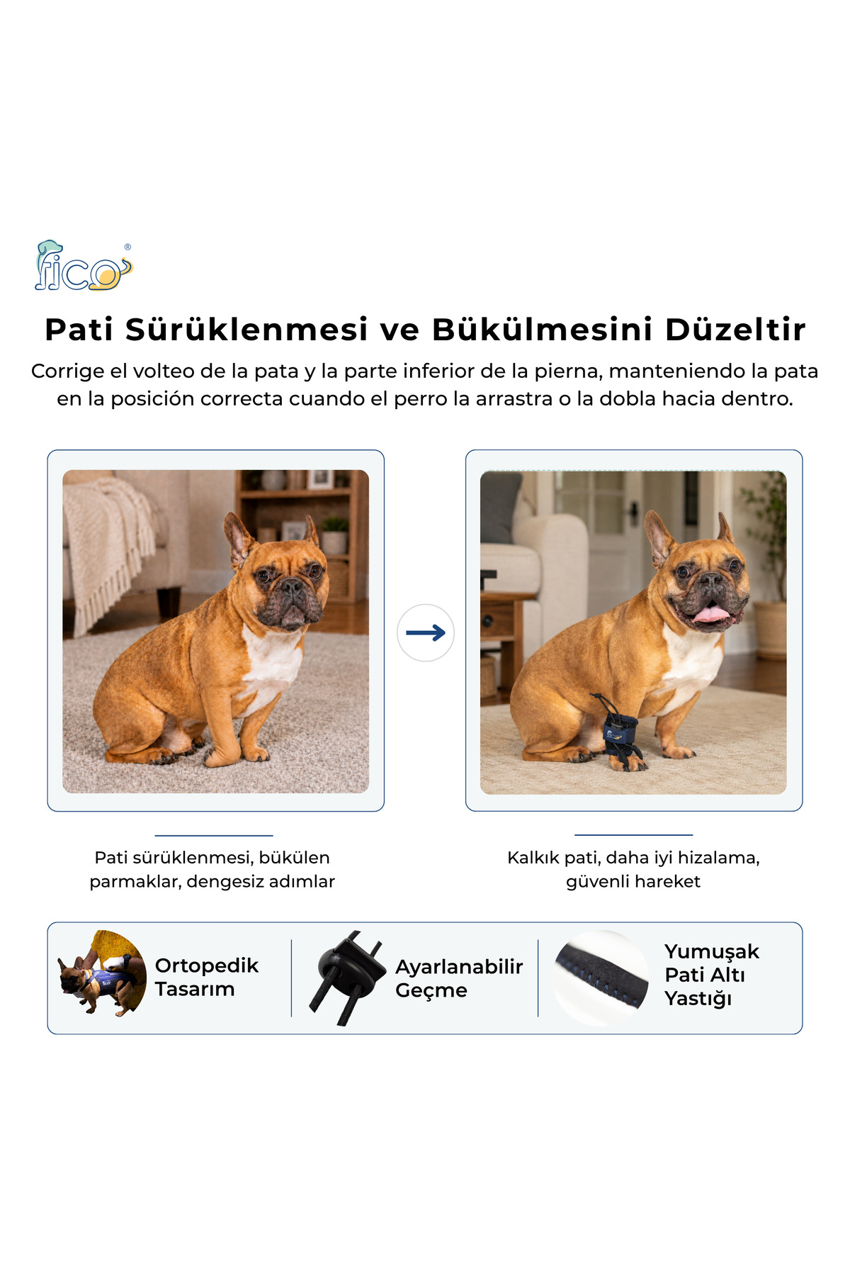 محافظ انگشت و پنجه سگ فیکو پتس Fico Pets، مدل KB، سرمه‌ای