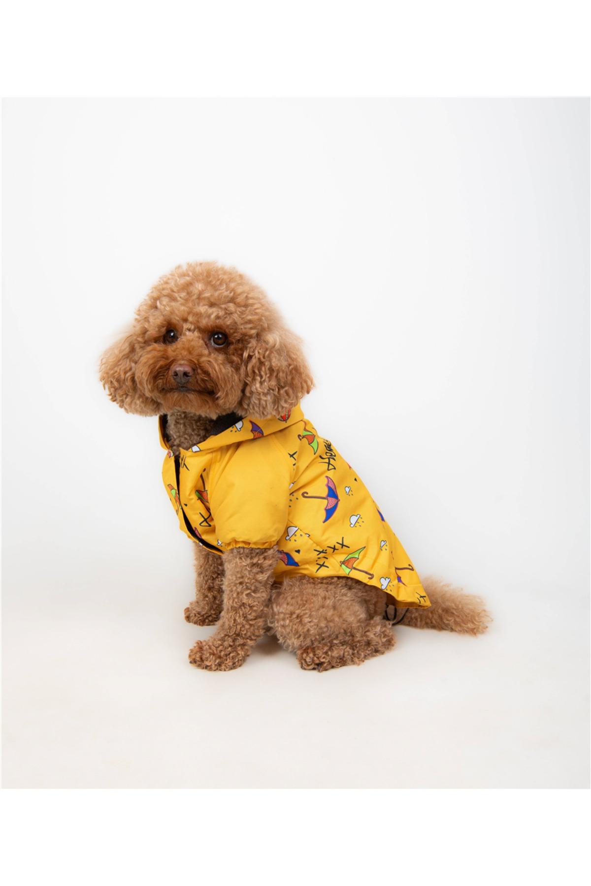 بارانی سگ تارپاز TARPAWS Umbrella (Polar)