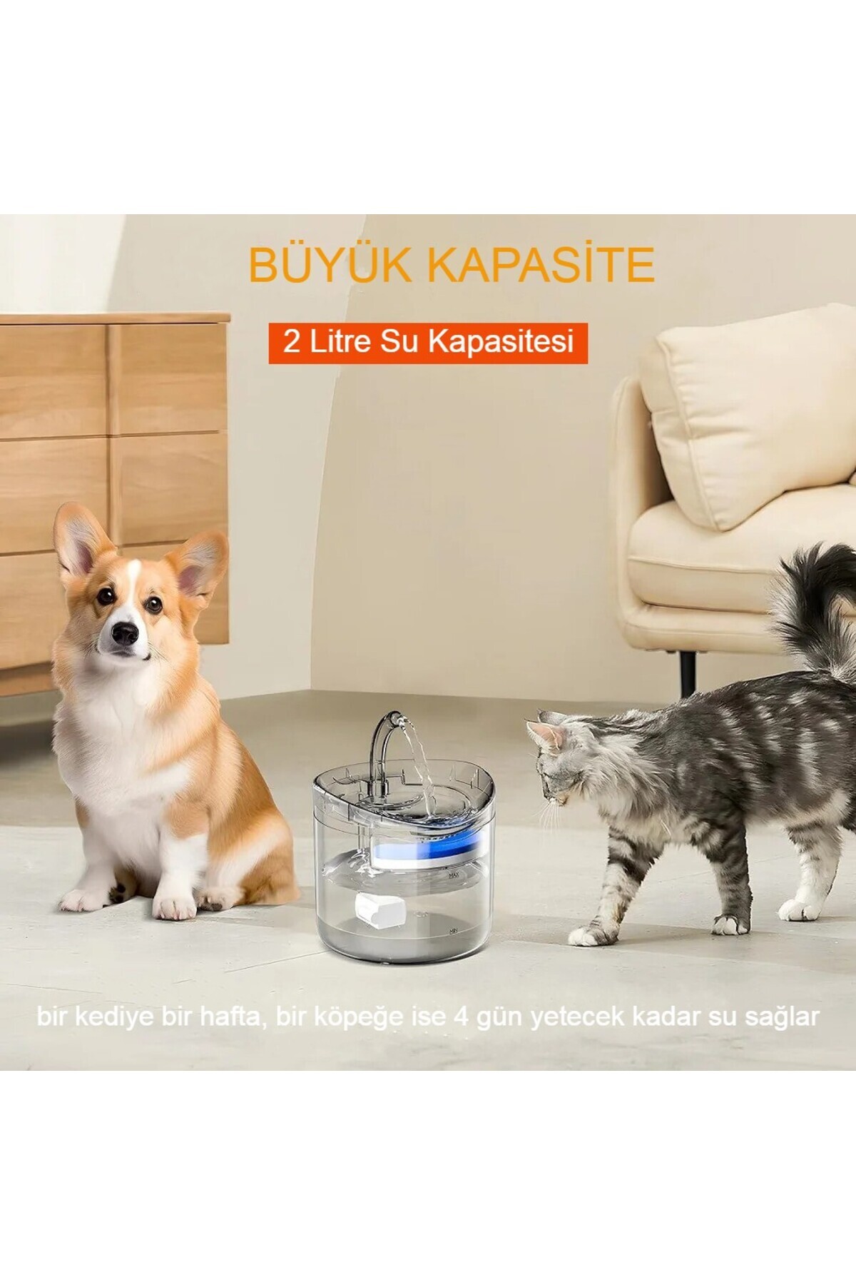 آبخوری فواره‌ای خودکار گربه و سگ، ۲ لیتری کم‌صدا و فیلتردار با طراحی شفاف