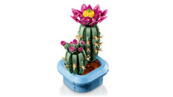 مجموعه ساختنی کاکتوس گل‌دار لگو LEGO، سری بوتانیکالز Botanicals، مدل 11509، ۴۸۲ قطعه، حداقل سن ۹ سال