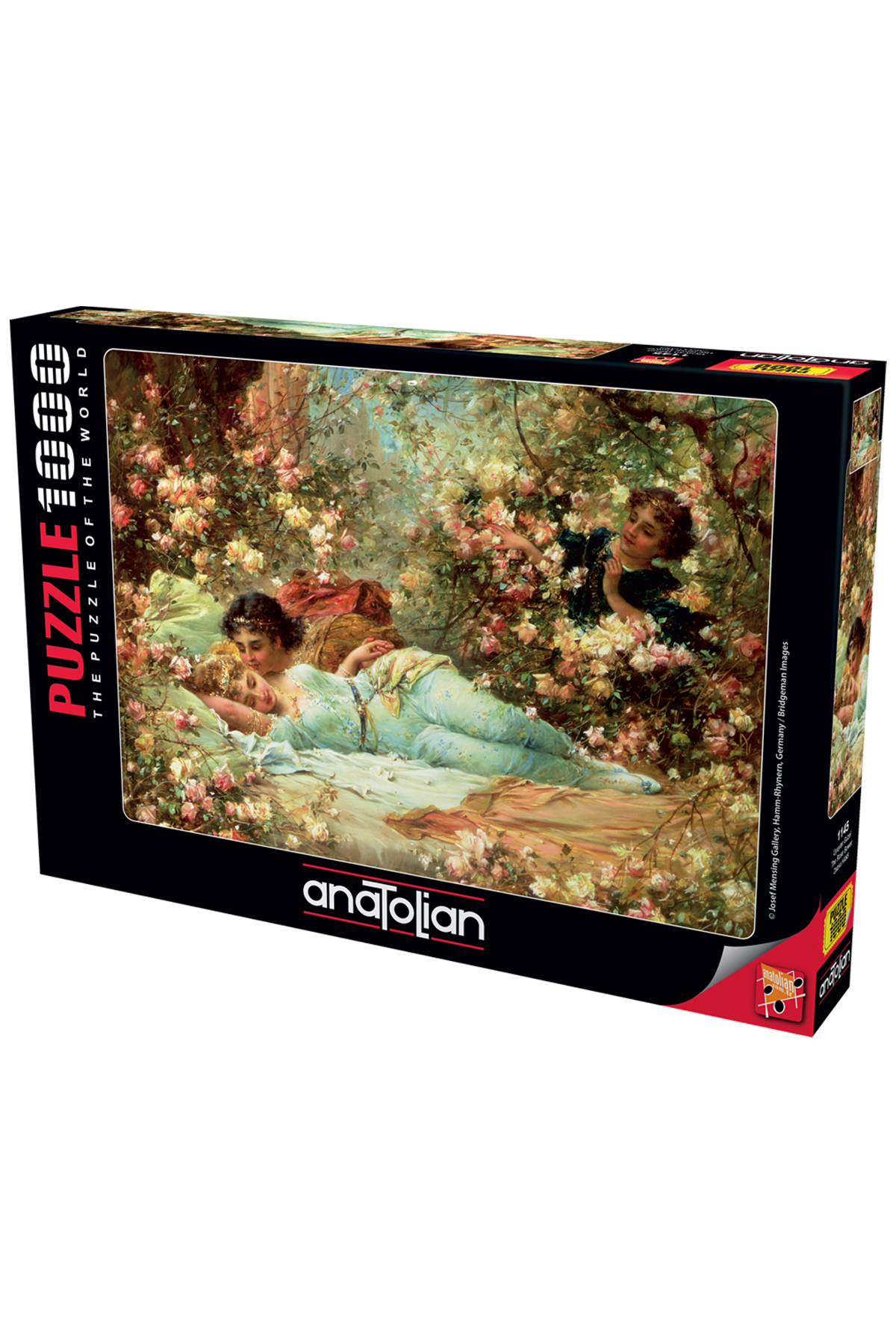 پازل 1000 تکه زیبای خفته 1145 از ترکیه Anatolian Puzzle