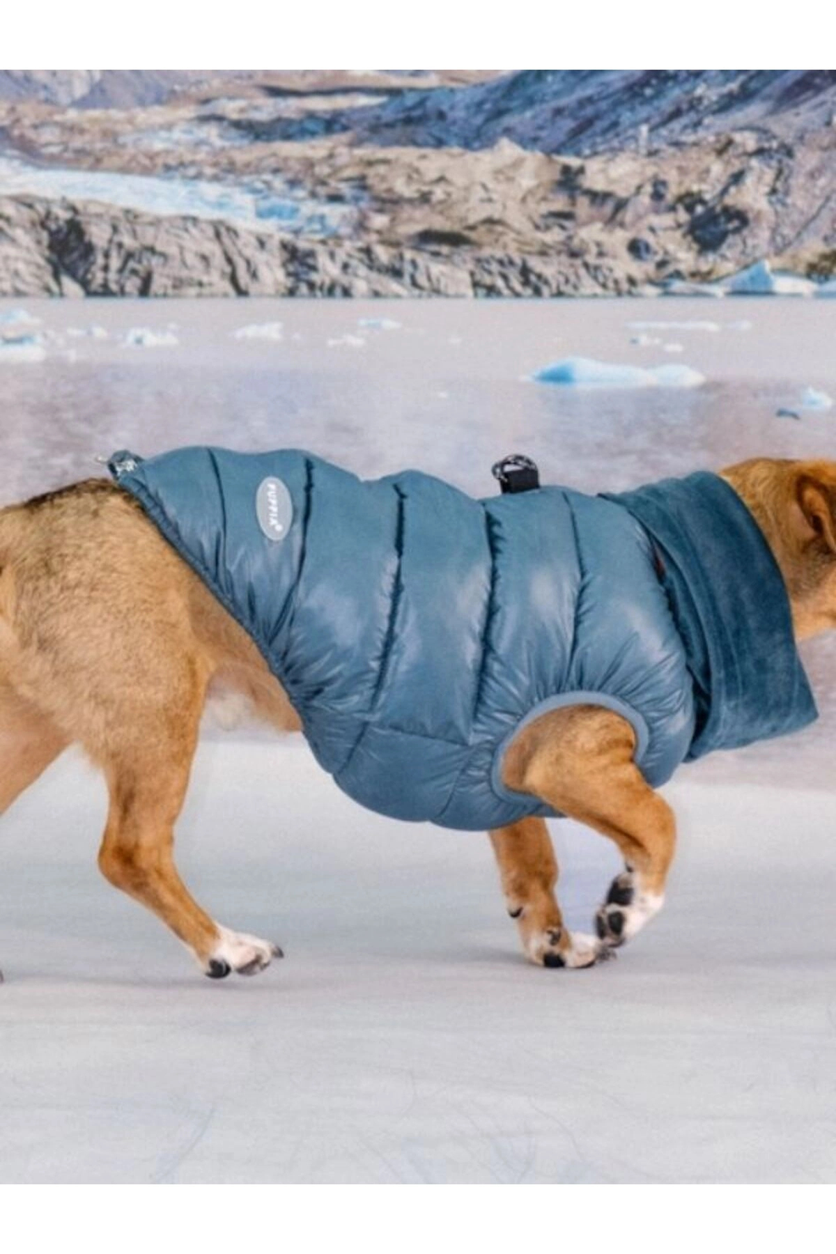 جلیقه پفی سگ پوپیا Puppia Glacier Snood، مدل PAZD-UV2261 فیروزه‌ای
