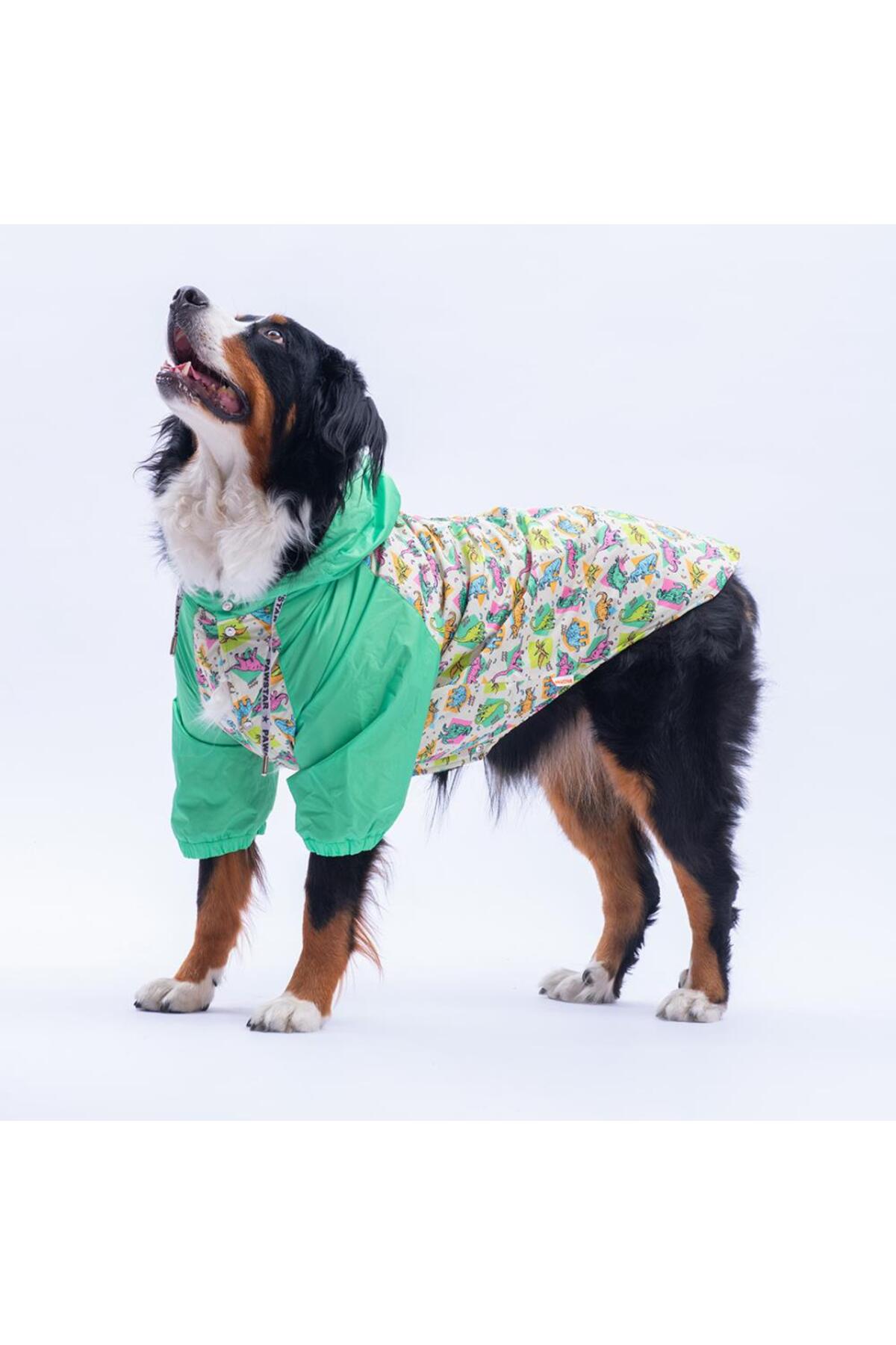 بارانی سگ پاوستار Pawstar Denver Dino مدل PS25-1100، سبز با طرح دایناسور