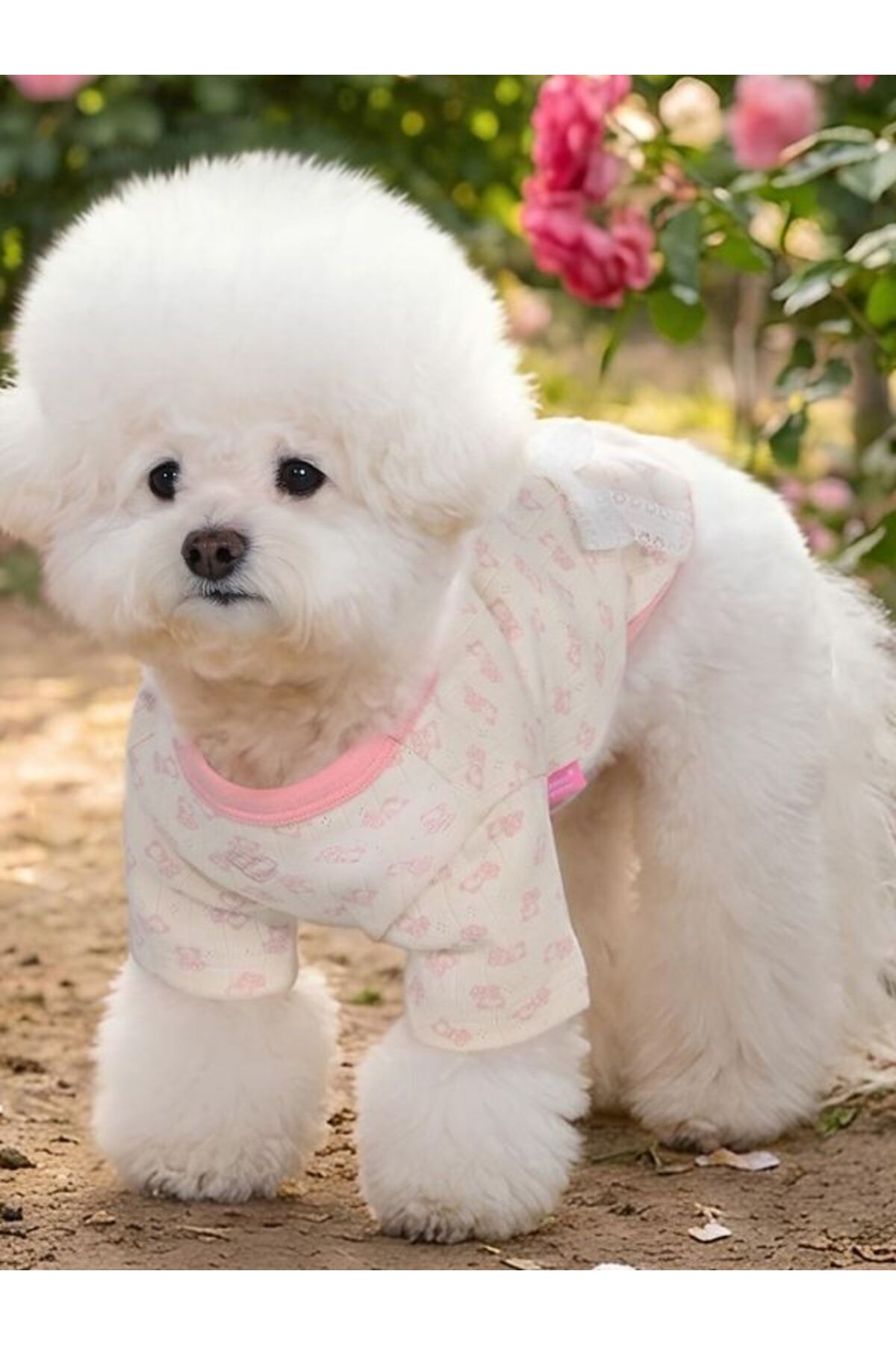 لباس سگ مدل Ribbony صورتی، پینکاهولیک Pinkaholic