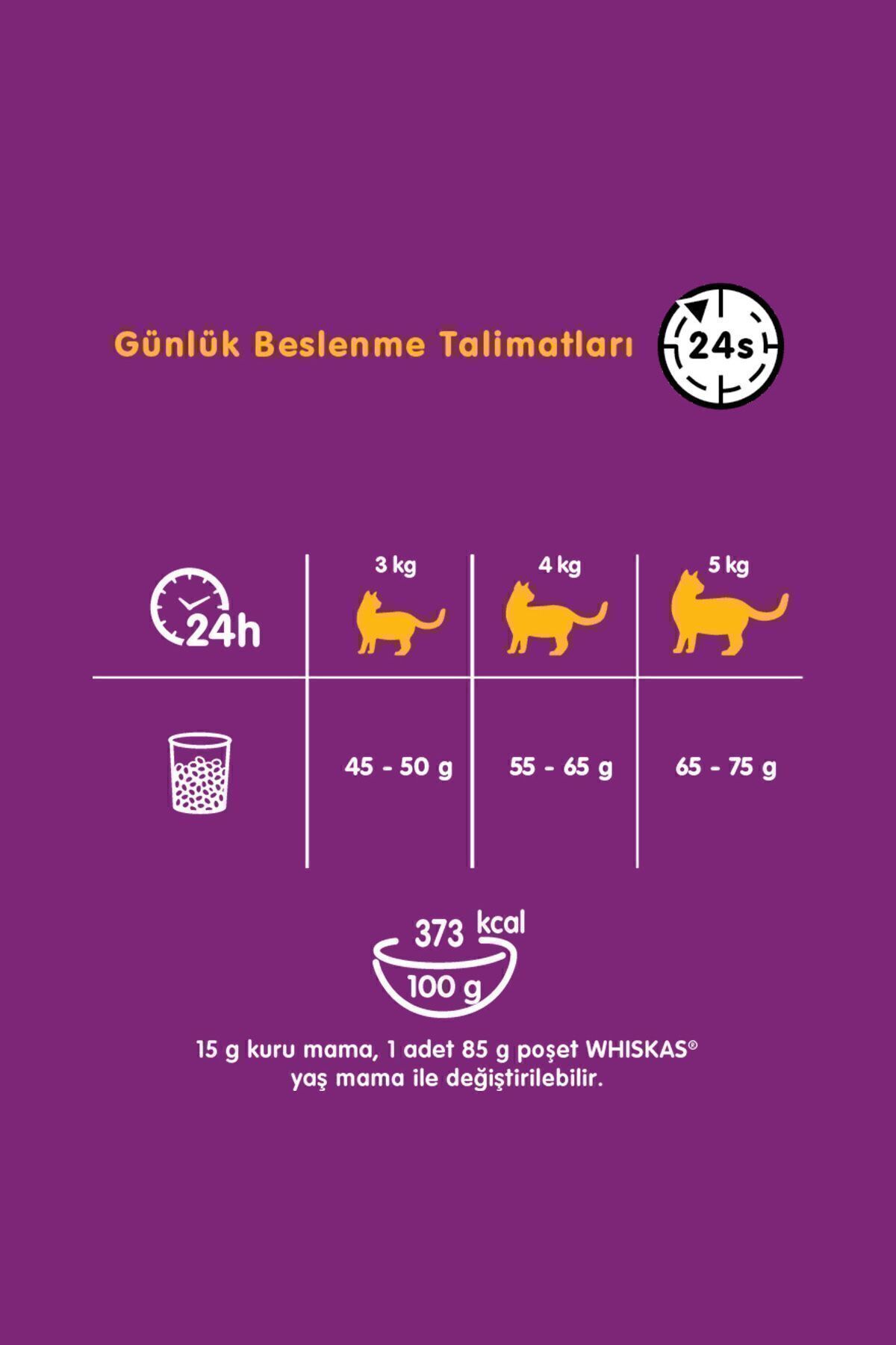 غذای خشک گربه ویسکاس Whiskas با طعم گوشت گاو، بزرگسال، ۳٫۸ کیلوگرم 3,8 Kg