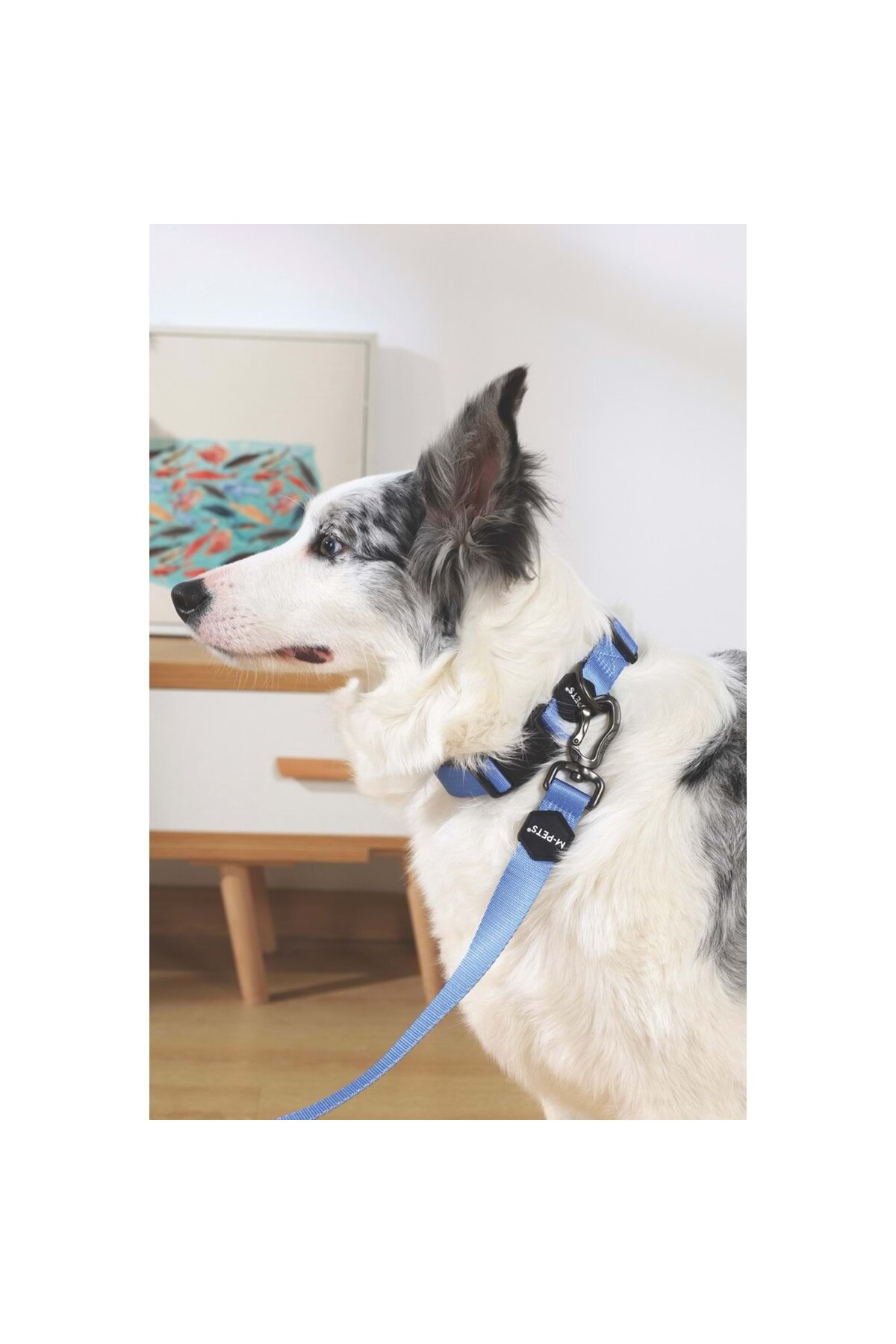 بند گرداندن سگ ام‌پتس M-PETS، سایز M، آبی