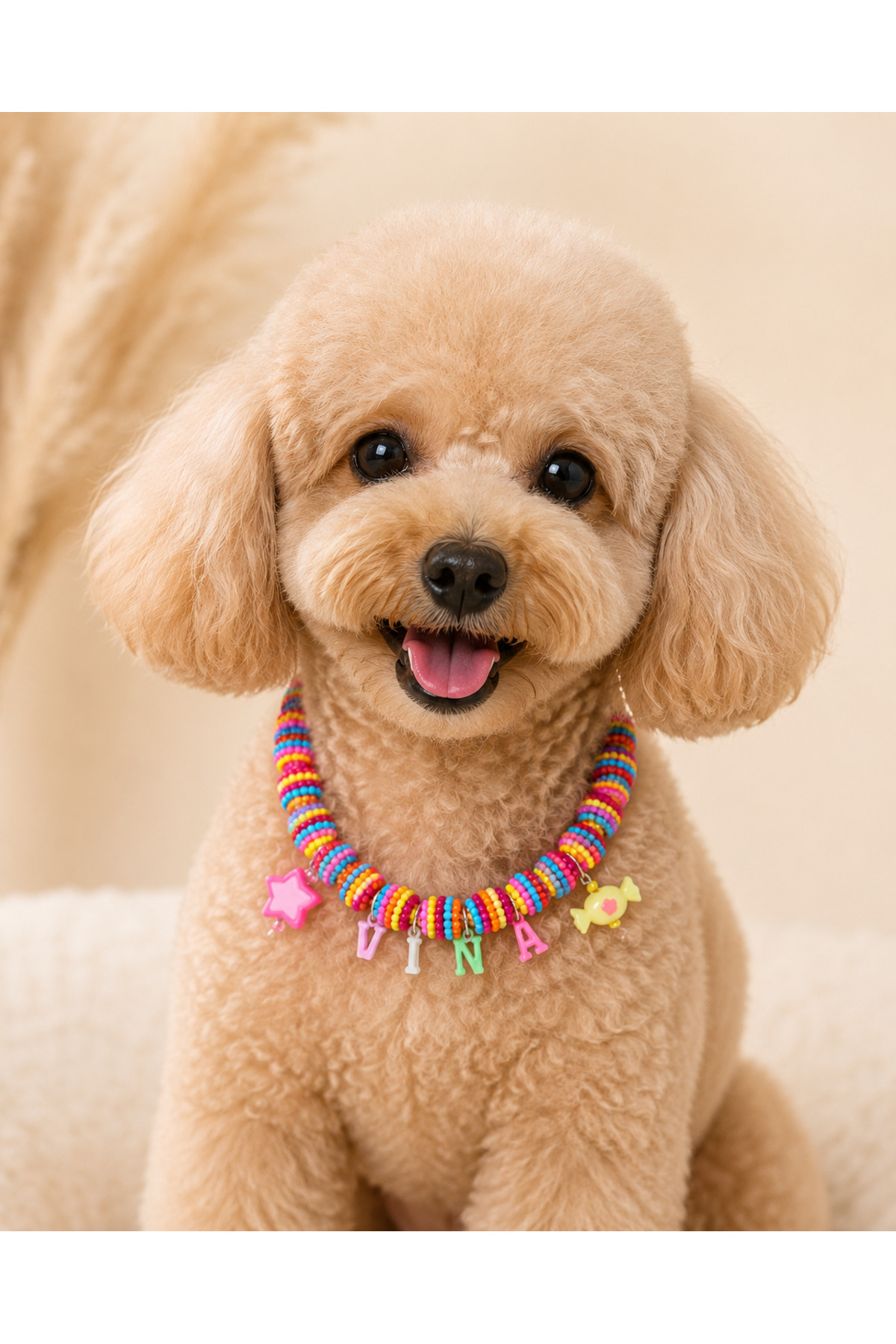 قلاده گردنی اسم‌دار و آویزدار گربه و سگ وینا پت Vina Pet Vina Beads چندرنگ