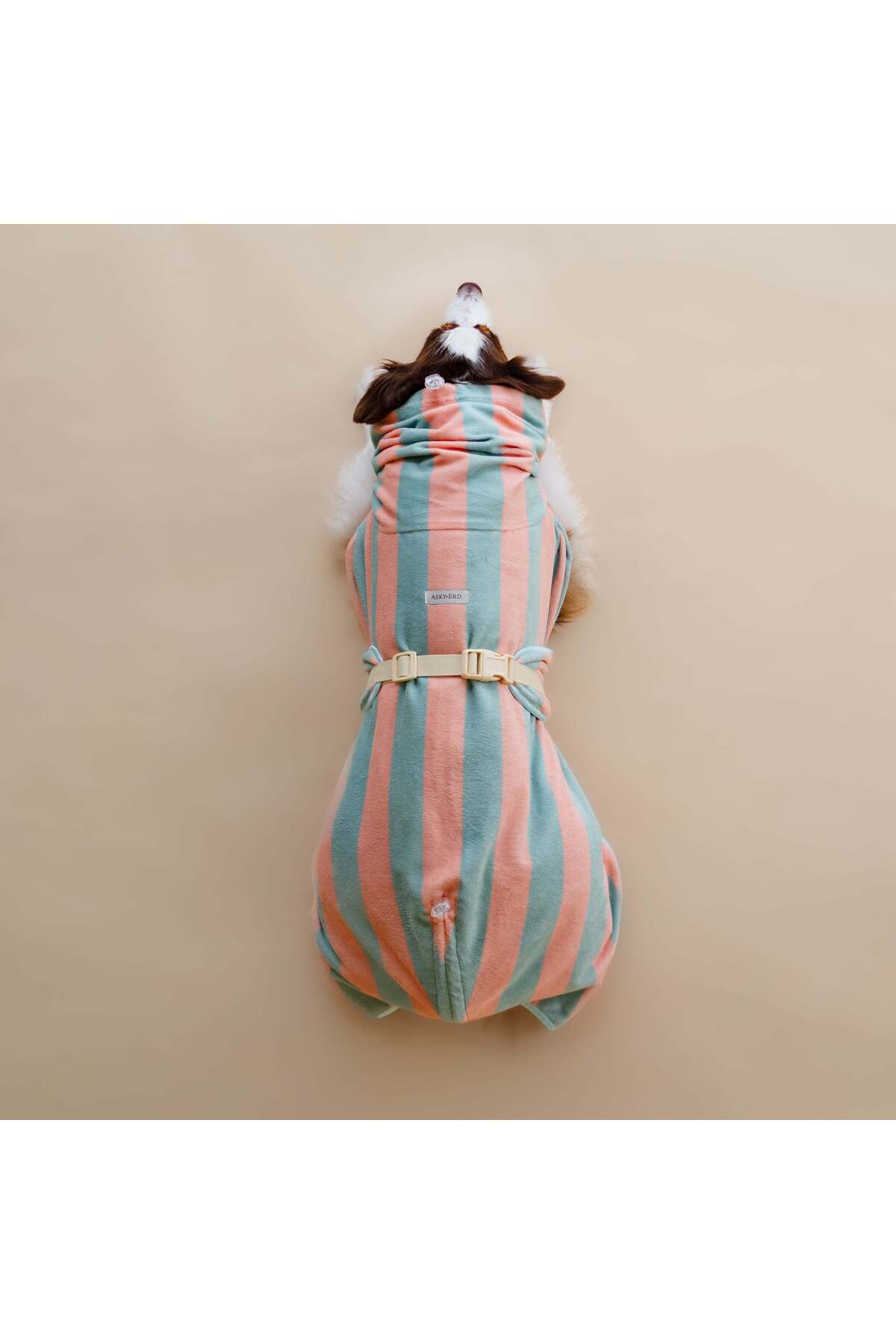 روپوش خشک‌کن سگ Soft Rituals راه‌راه سبز دریایی و سالمونی