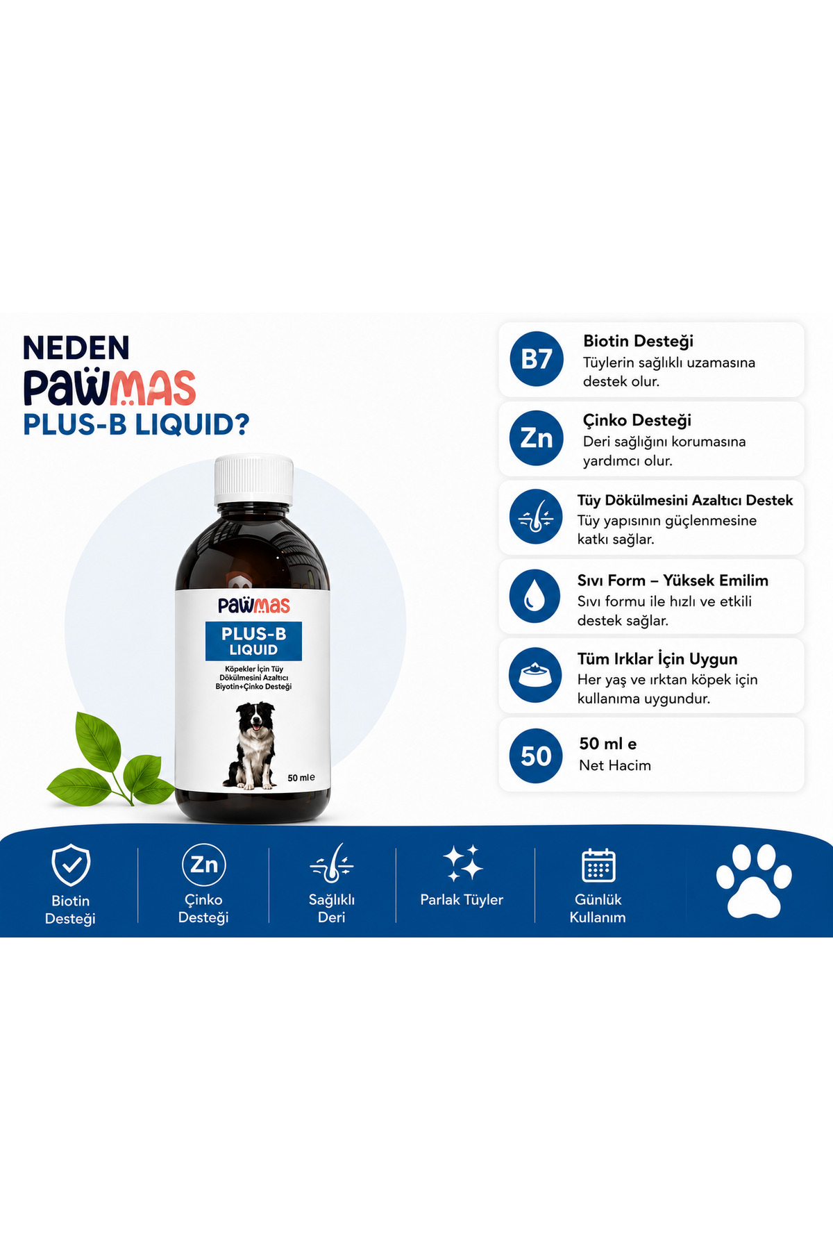 قطره بیوتین و زینک سگ پاوماس Pawmas Plus-B، ۵۰ میلی‌لیتر