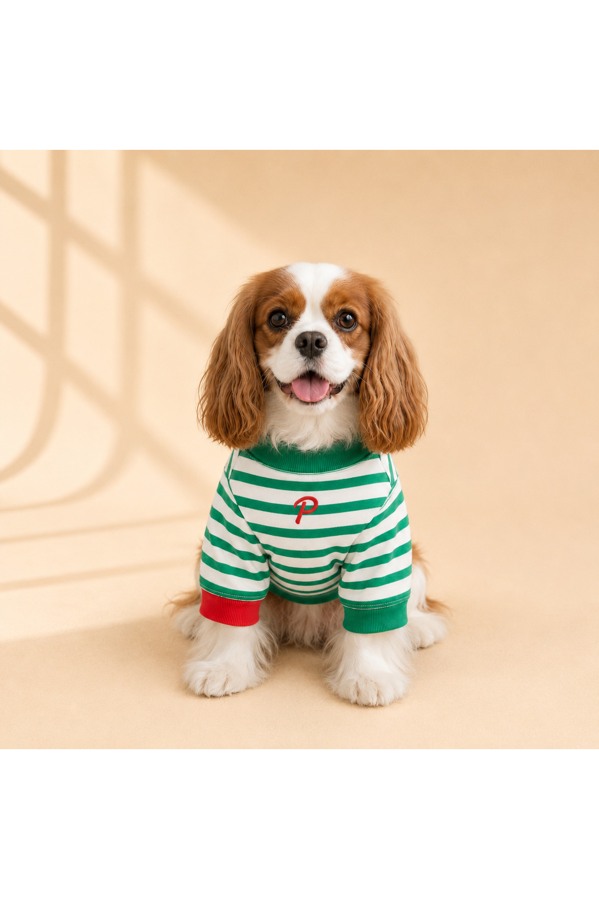 سویشرت نخی سگ راه‌راه سبز پاپیا Puppia مدل VLR-GREEN-STRIPE-01