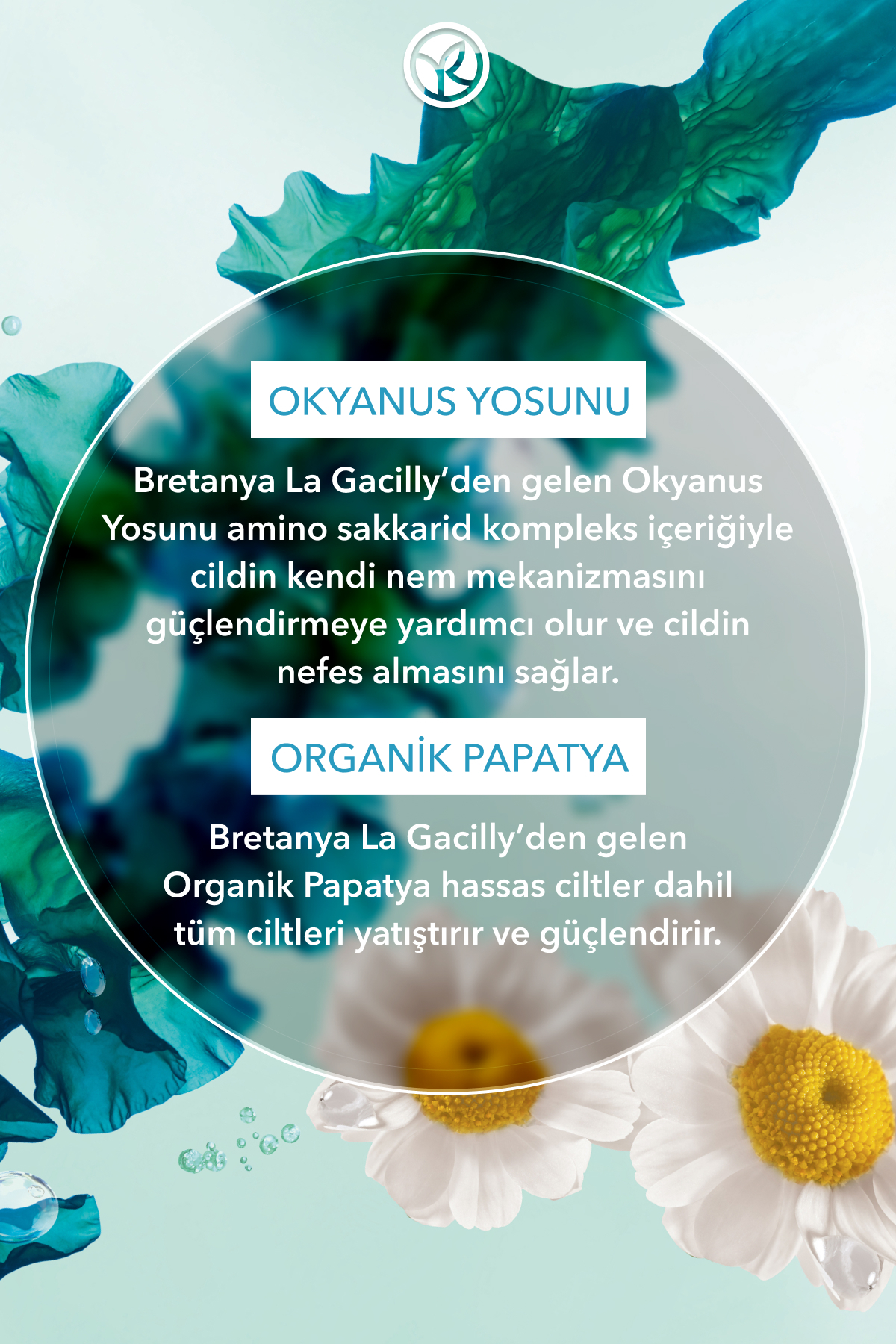 فوم شستشوی صورت پرهیوتیک پوست عادی خشک علگه خالص 150 میلی لیتر 95994 ایوروشه Yves Rocher