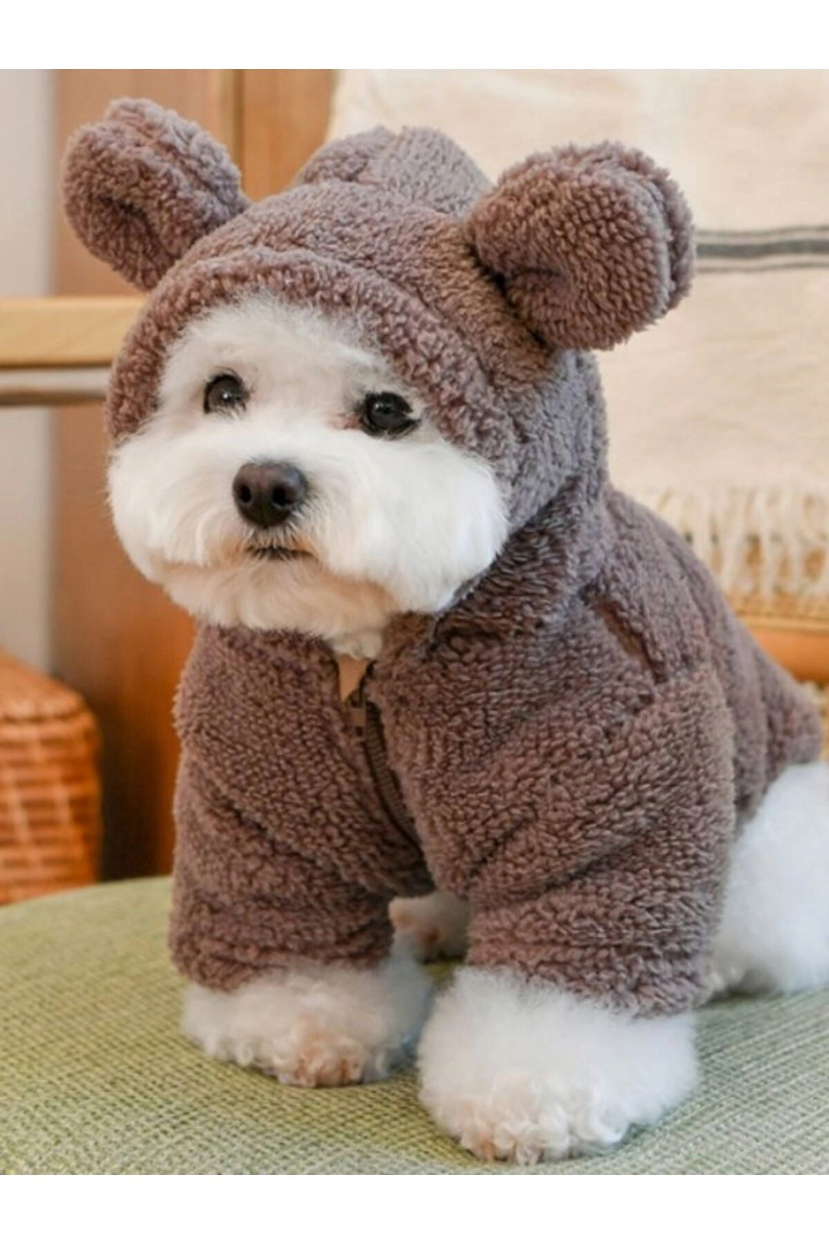 لباس سگ پلار‌دار اولچی Olchi Furry Friends، قهوه‌ای، مدل OAVD-TS6340