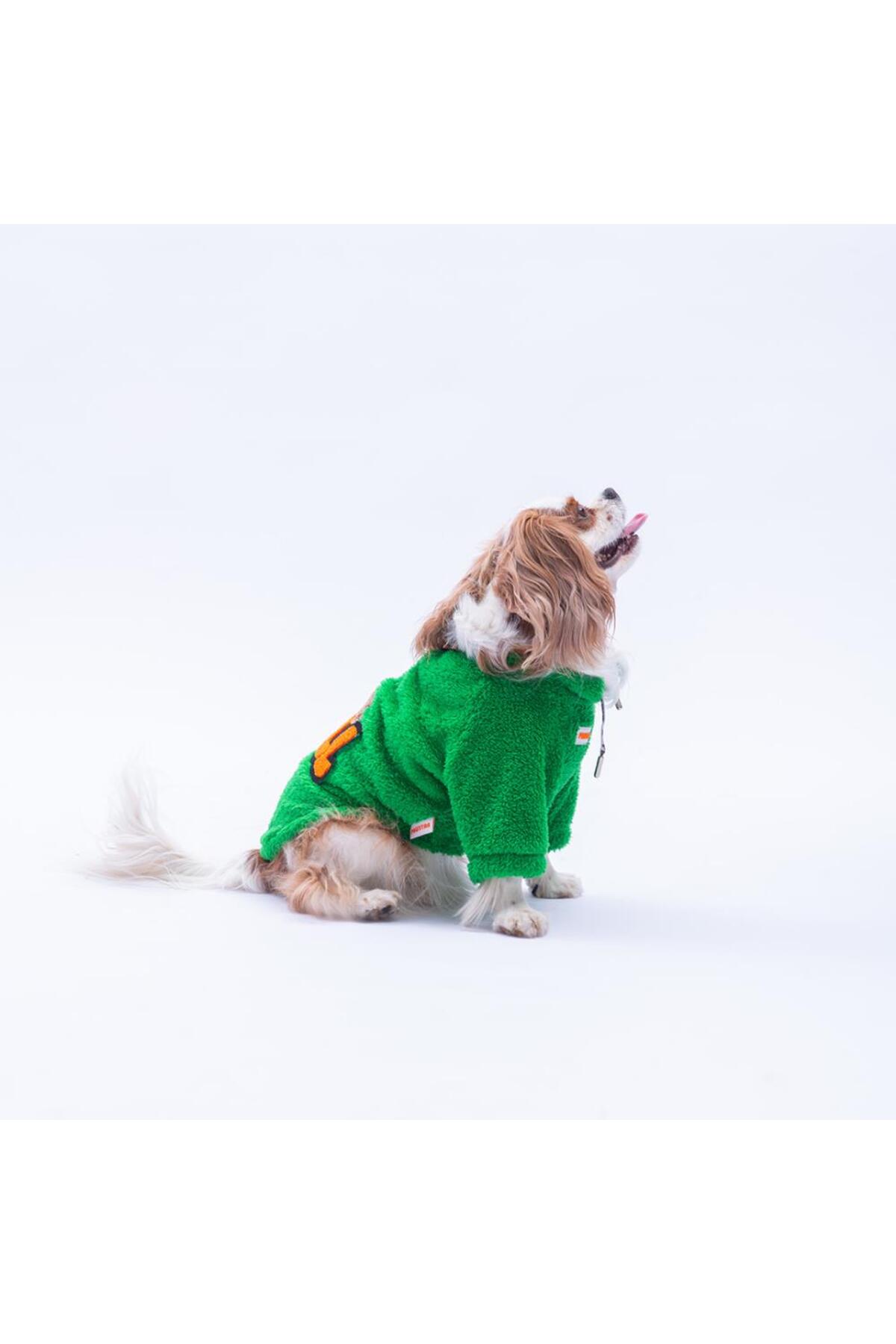 لباس پولیشی سگ و گربه پاواستار Pawstar، سری Oslo Chill Urban Moods، سبز، مدل PS25-1087