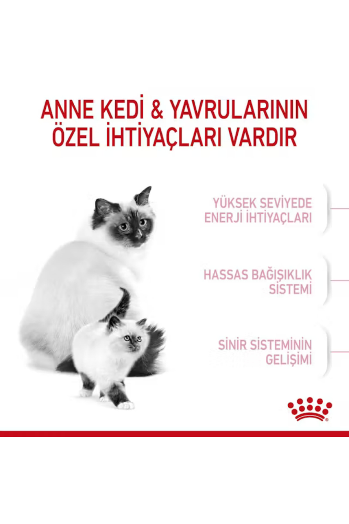غذای خشک گربه مادر باردار و شیرده و بچه‌گربه، ۴۰۰ گرم، رویال کنین Royal Canin Mother & Babycat