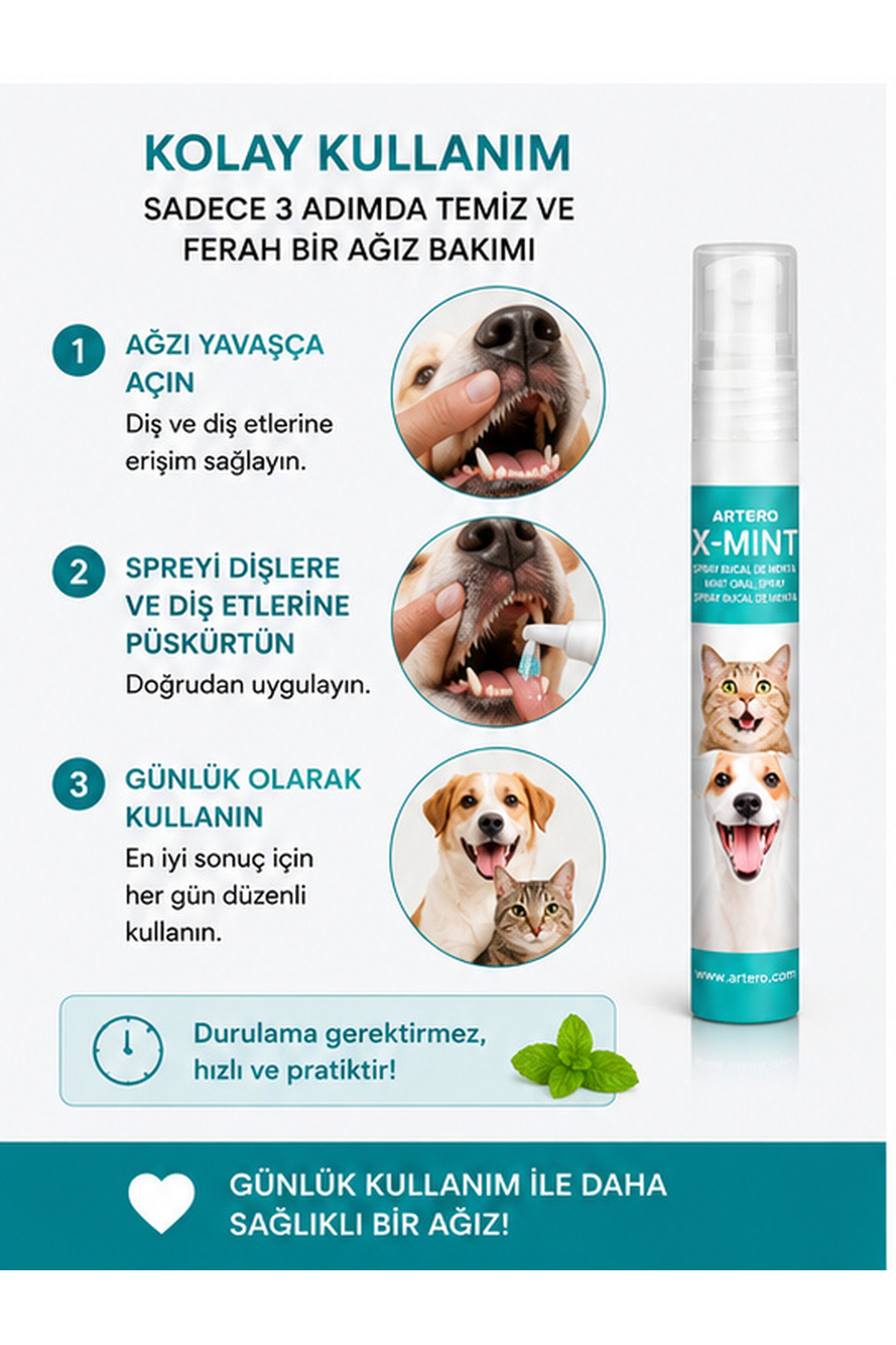 اسپری دهان سگ آرترو Artero X-Mint، ۱۳ میلی‌لیتر