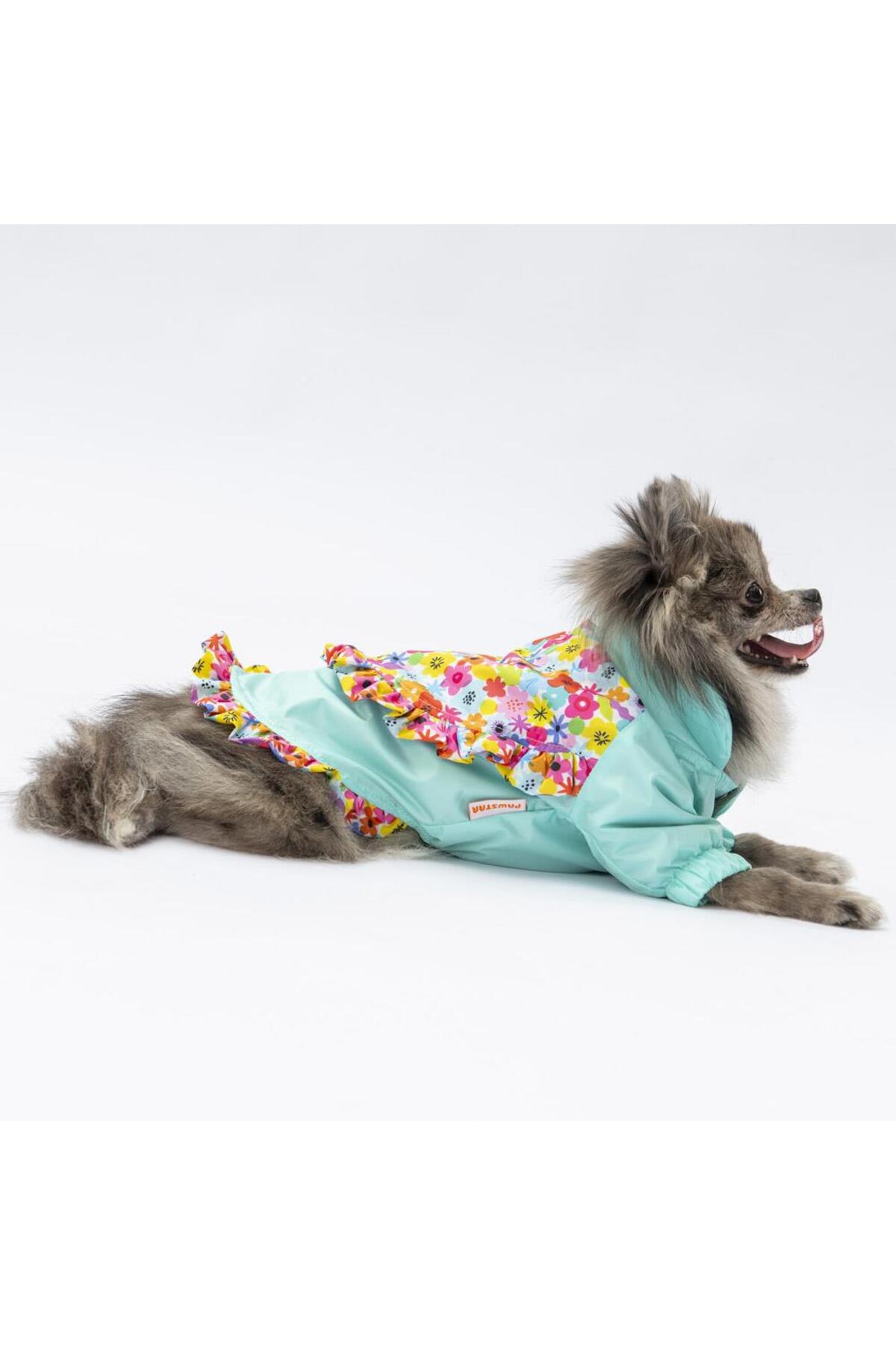 بارانی سگ پاواستار Pawstar مدل Mint Victoria، سبز، PS24-1032
