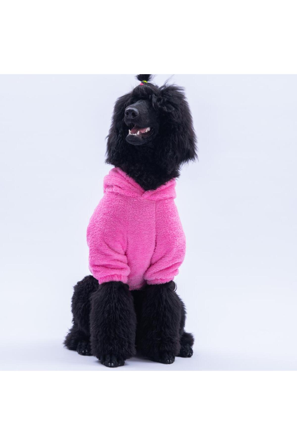هودی سگ پاوستار Pawstar، Lucca Teddy، صورتی با گوش‌های خرسی، PS25-1098