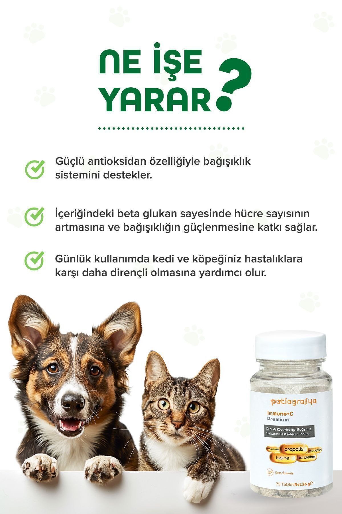قرص Premium Immune C پاتیوگرافیا patiografya برای گربه و سگ