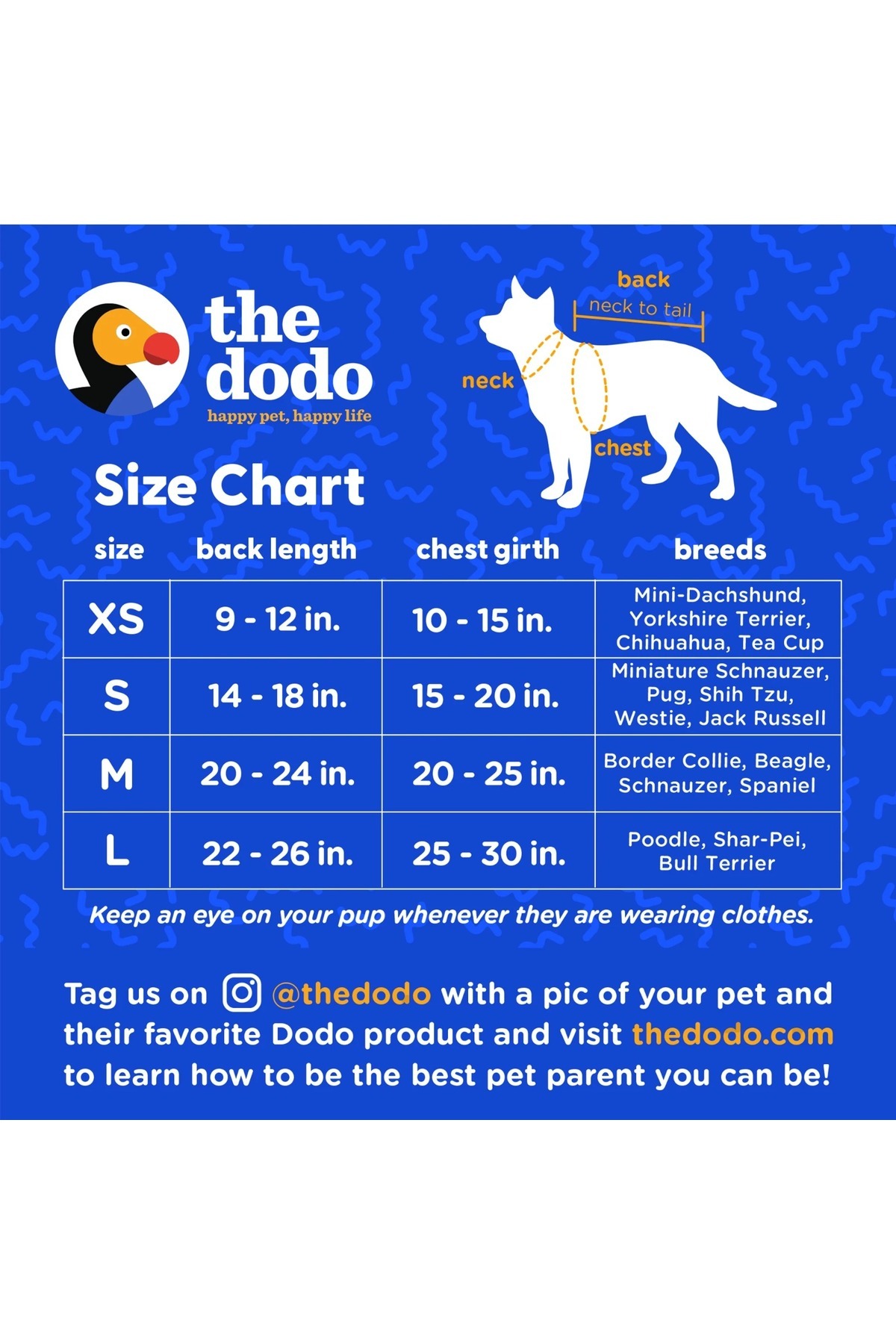 بارانی سگ The Dodo راه‌راه شفاف، بارکی ازمیر Barkie İzmir (thedodoyagmurluk) سفید