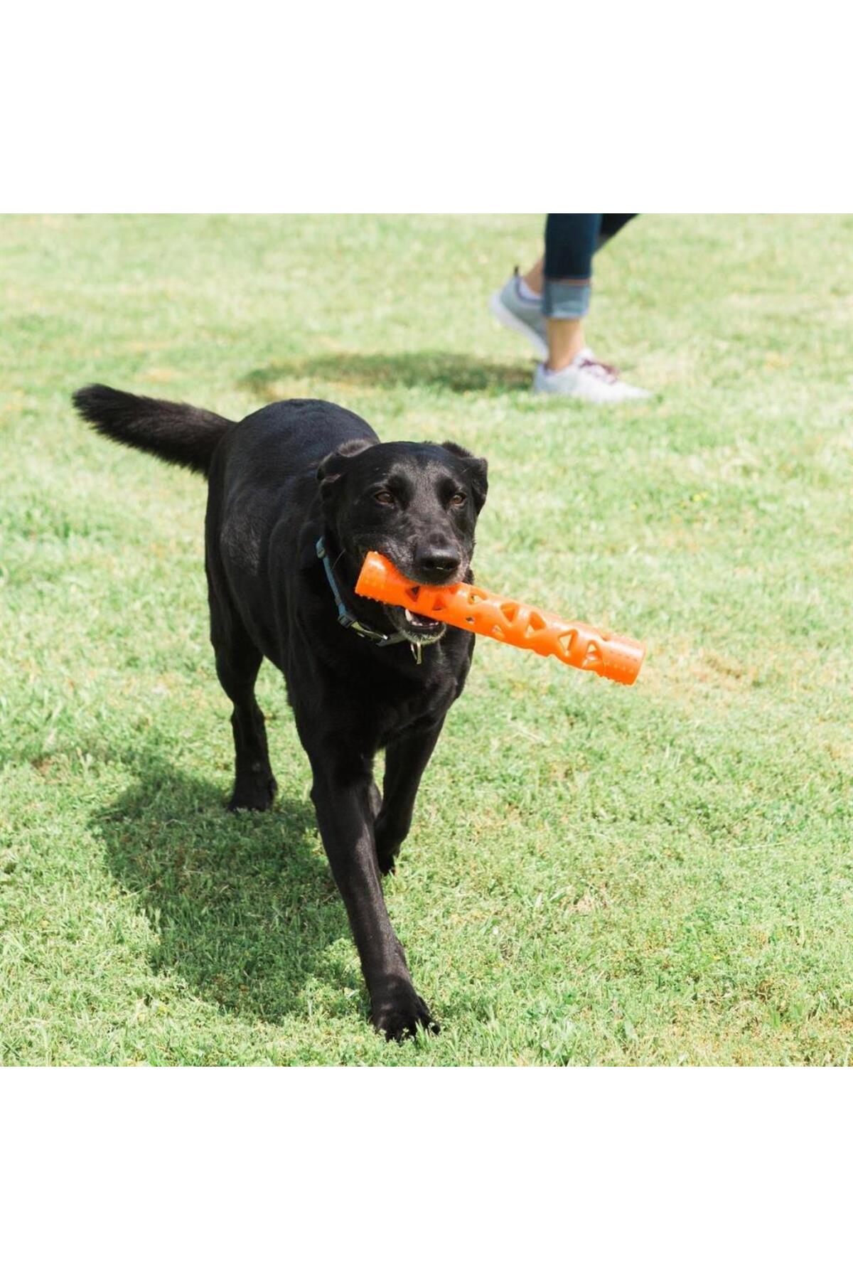 اسباب‌بازی سگ چاکیت Chuckit ! Air Fetch Stick، سایز بزرگ، طول ۳۱ سانتی‌متر، مدل 32215 unisex چندرنگ