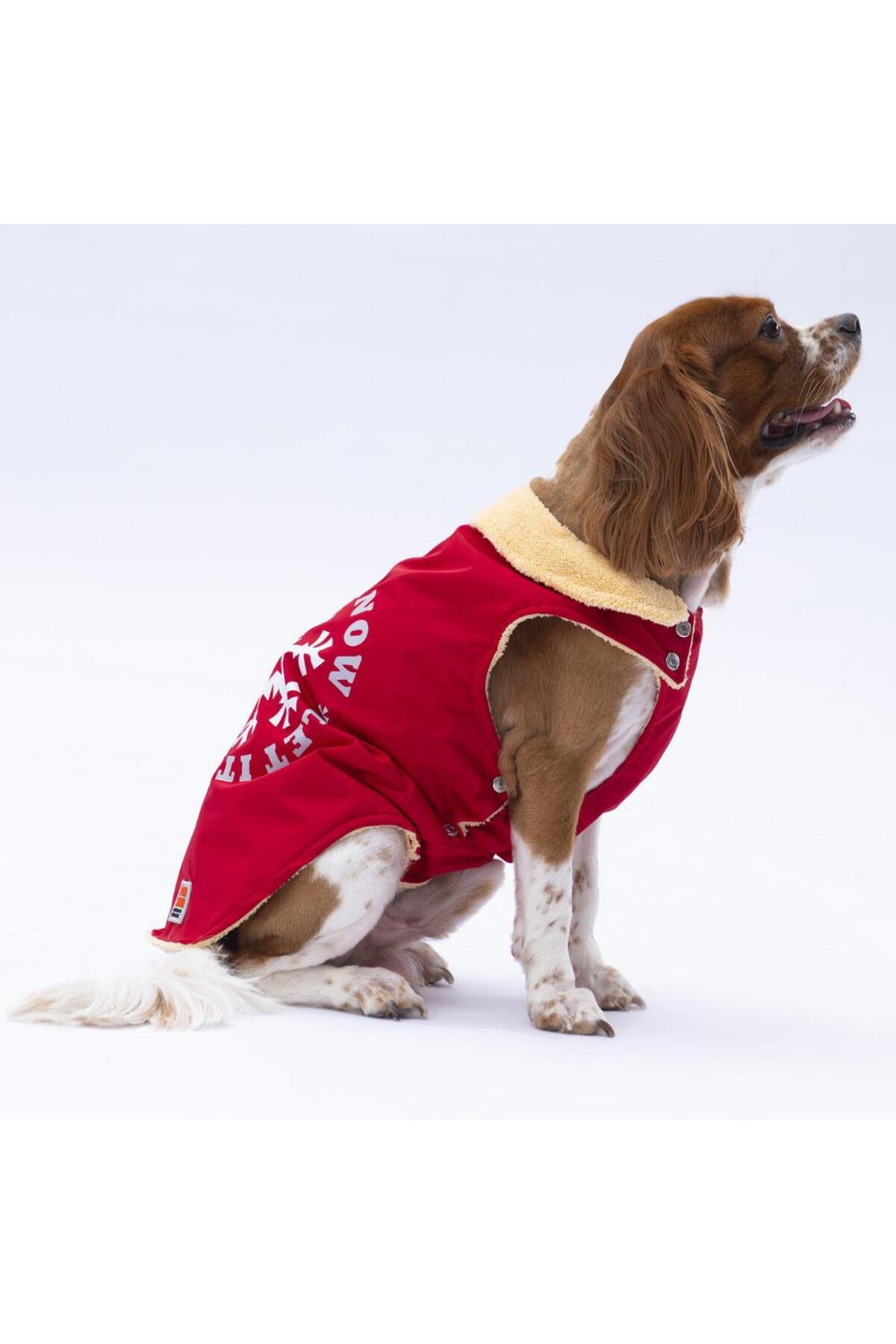 جلیقه بارانی قرمز سگ پاوستار Pawstar Yukon مدل PS24-1037