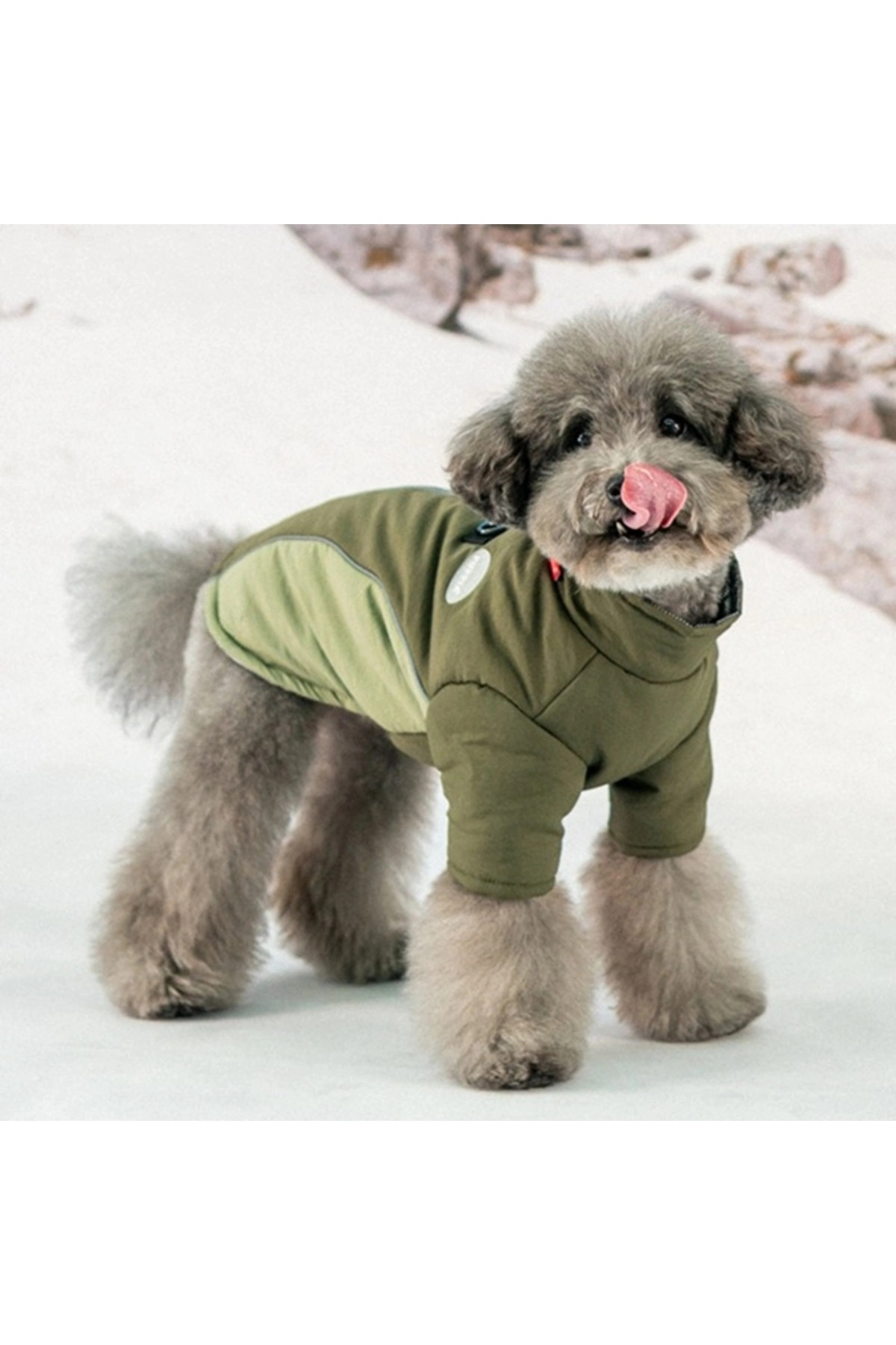 کاپشن سگ خاکی پوپیا Puppia Terrain Active Jacket مدل PAZD-JM2257