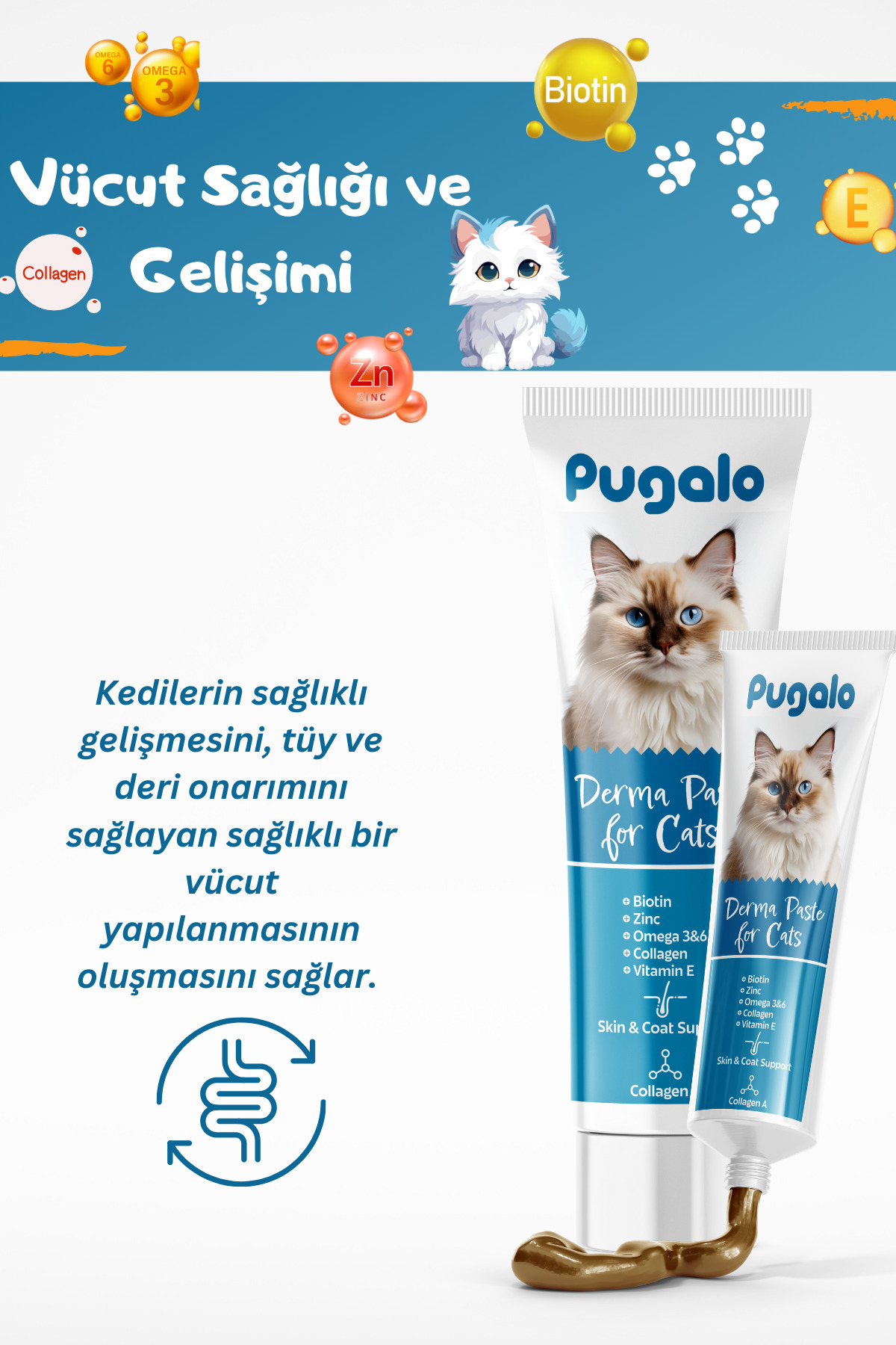 خمیر سلامت پوشش موی گربه پاگالو PUGALO Derma Paste حاوی روی و کلاژن